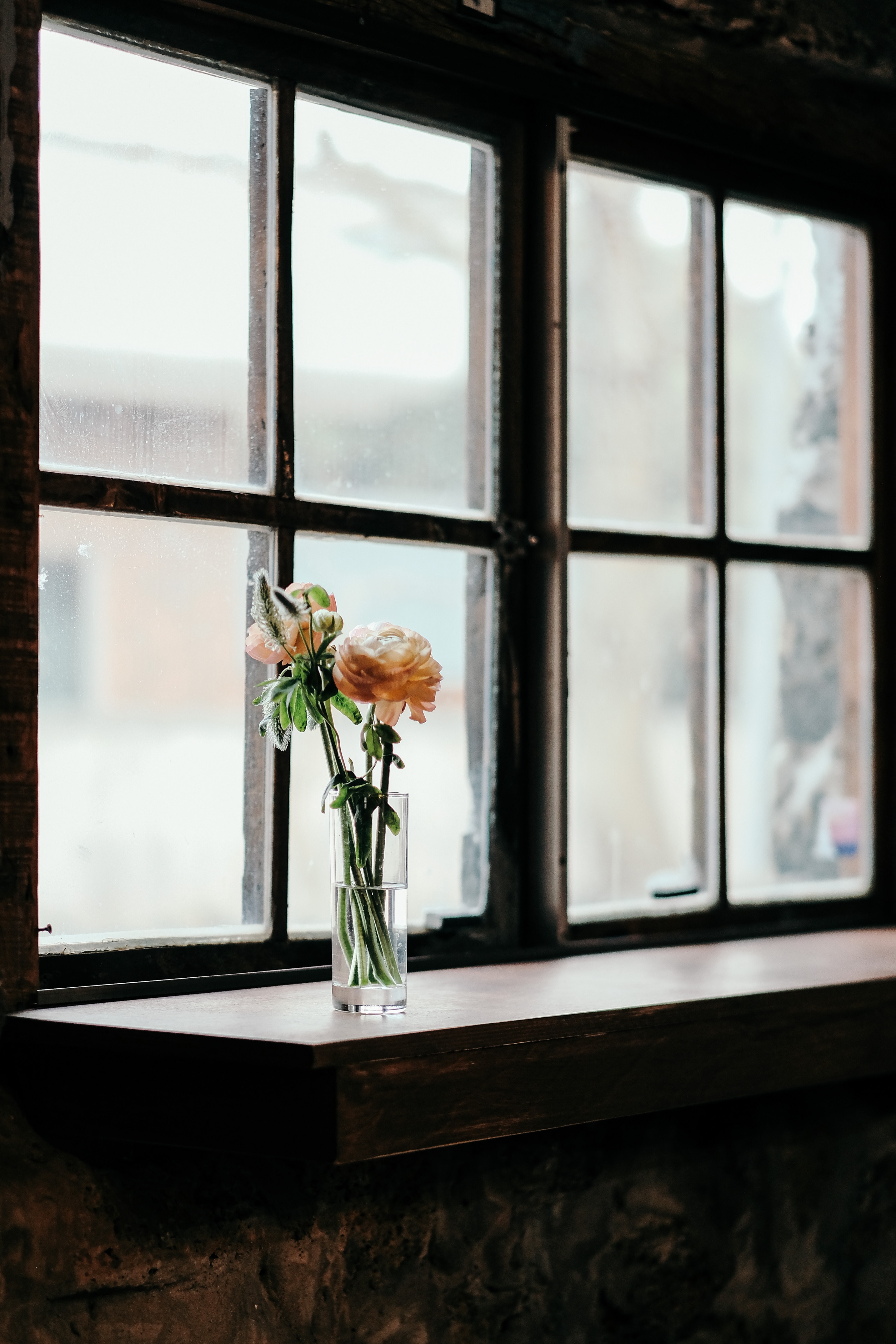 vase, flowers, bouquet, window 5K