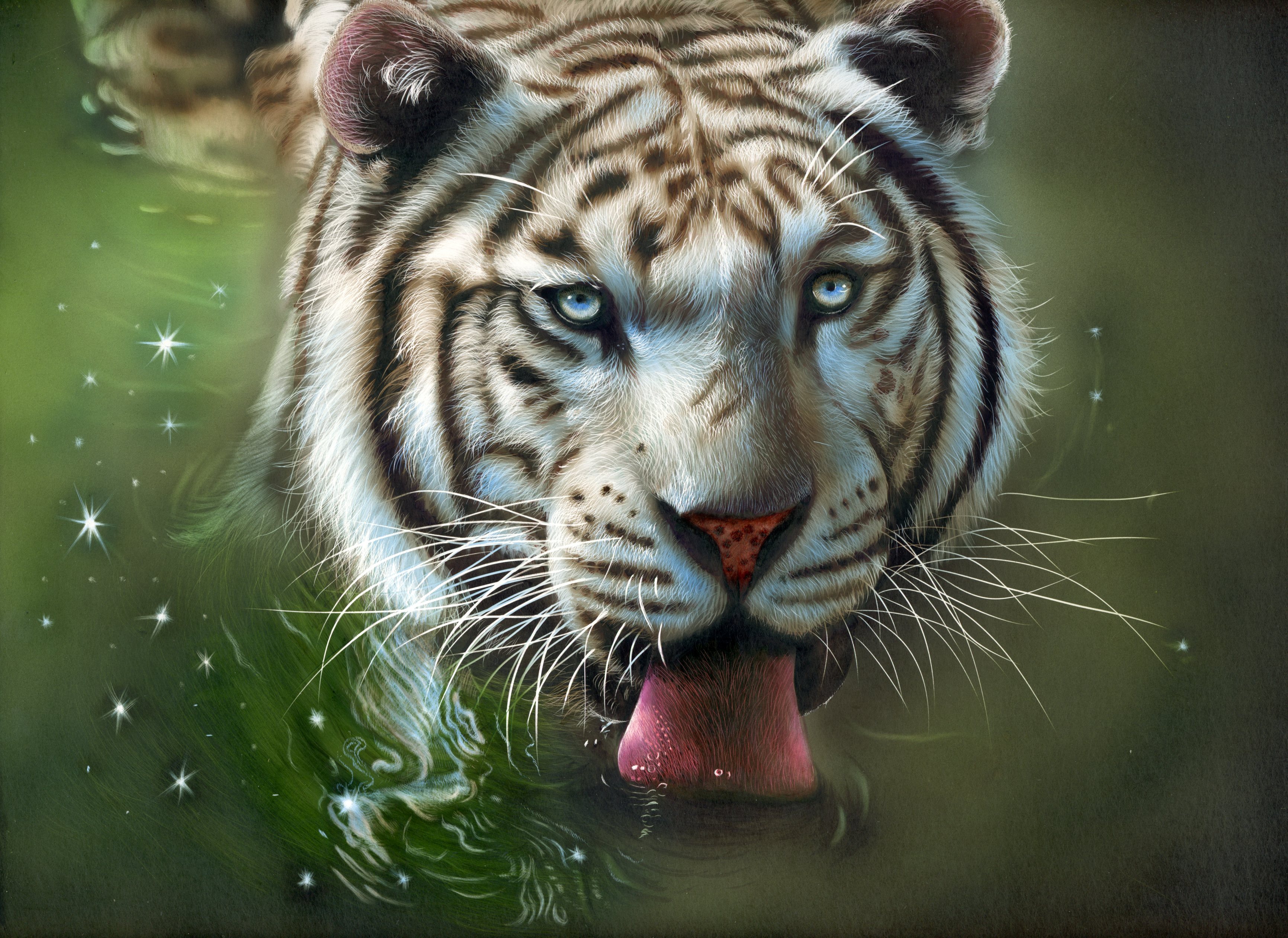 Байху белый тигр