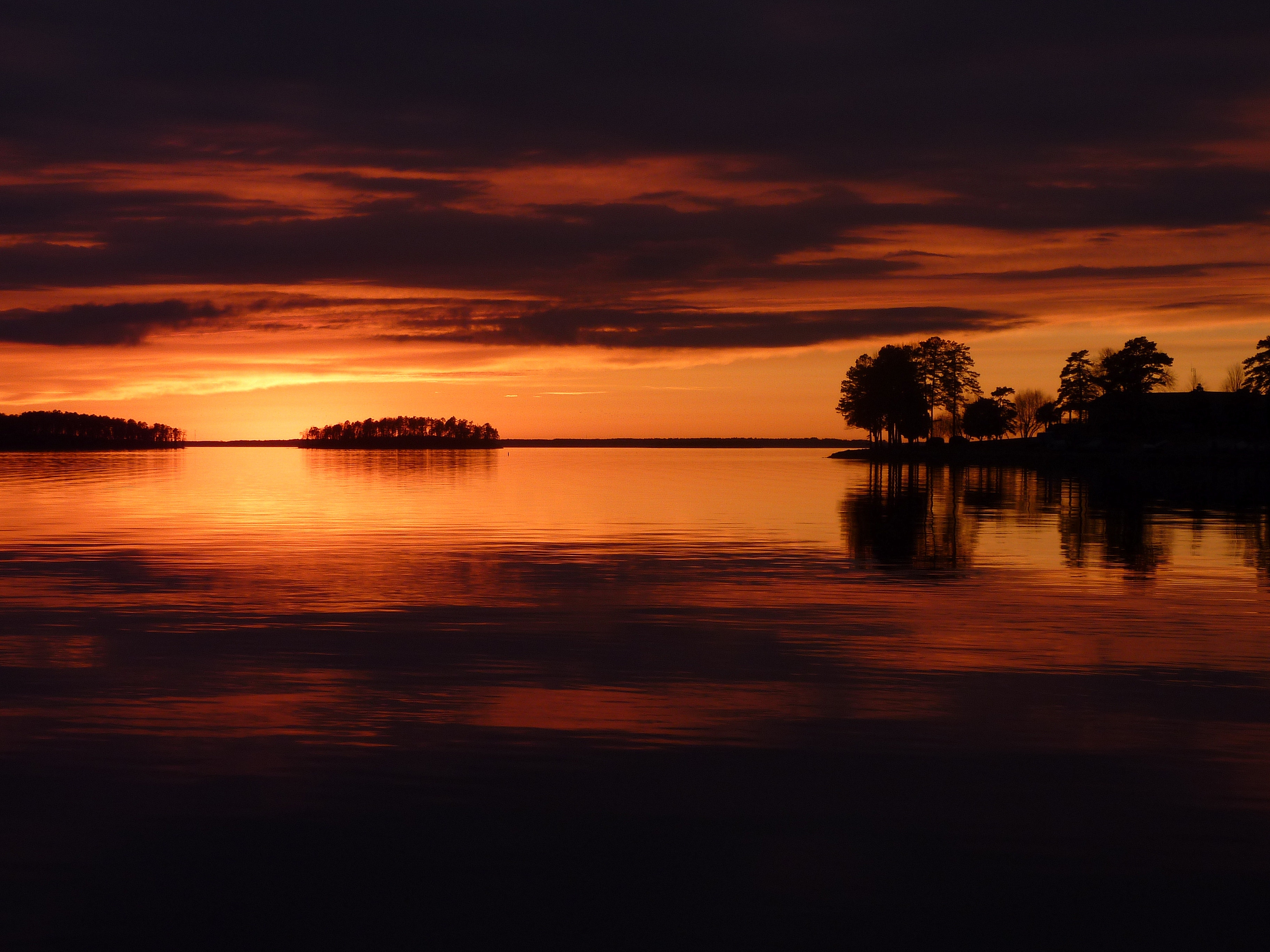 Laden Sie das Bäume, Sunset, Übernachtung, See, Natur-Bild kostenlos auf Ihren PC-Desktop herunter