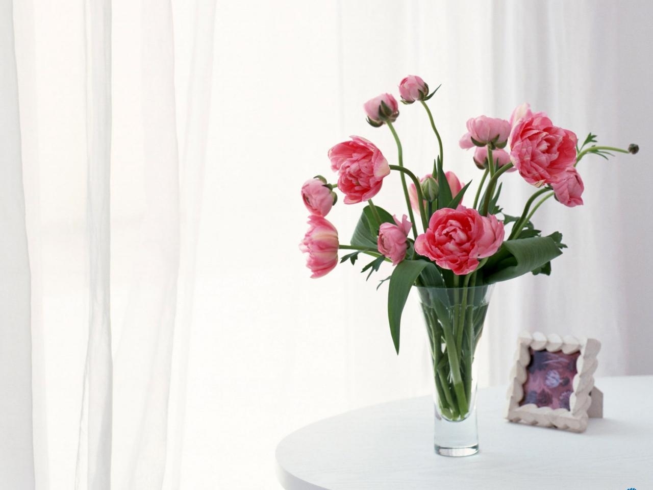 Téléchargez des papiers peints mobile Still Life, Fleurs, Plantes, Bouquets gratuitement.