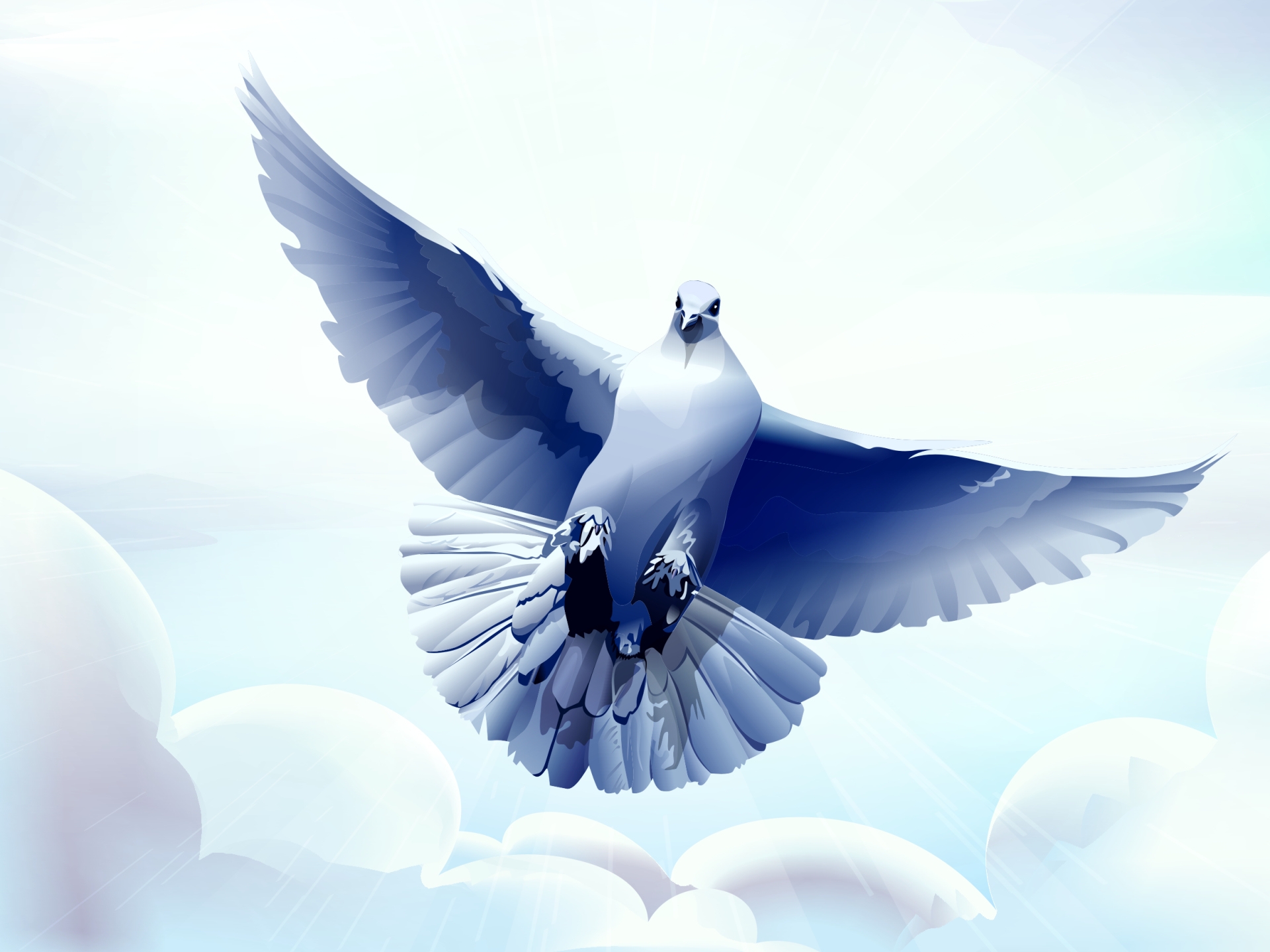 Laden Sie das Taube, Flug, Vektor, Vogel-Bild kostenlos auf Ihren PC-Desktop herunter