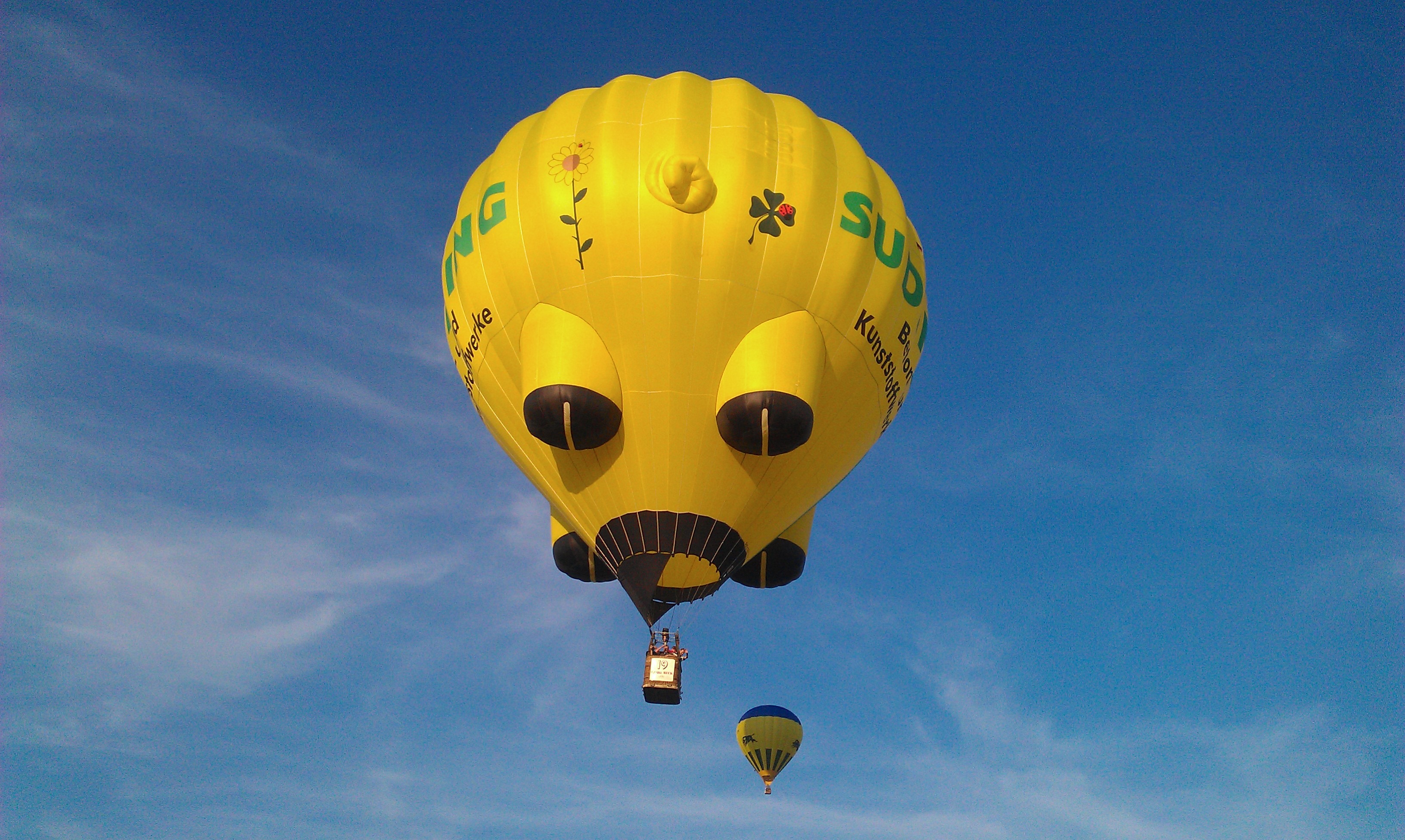 144180 Bild herunterladen ballon, sky, hell, verschiedenes, sonstige, flug, luftballon - Hintergrundbilder und Bildschirmschoner kostenlos