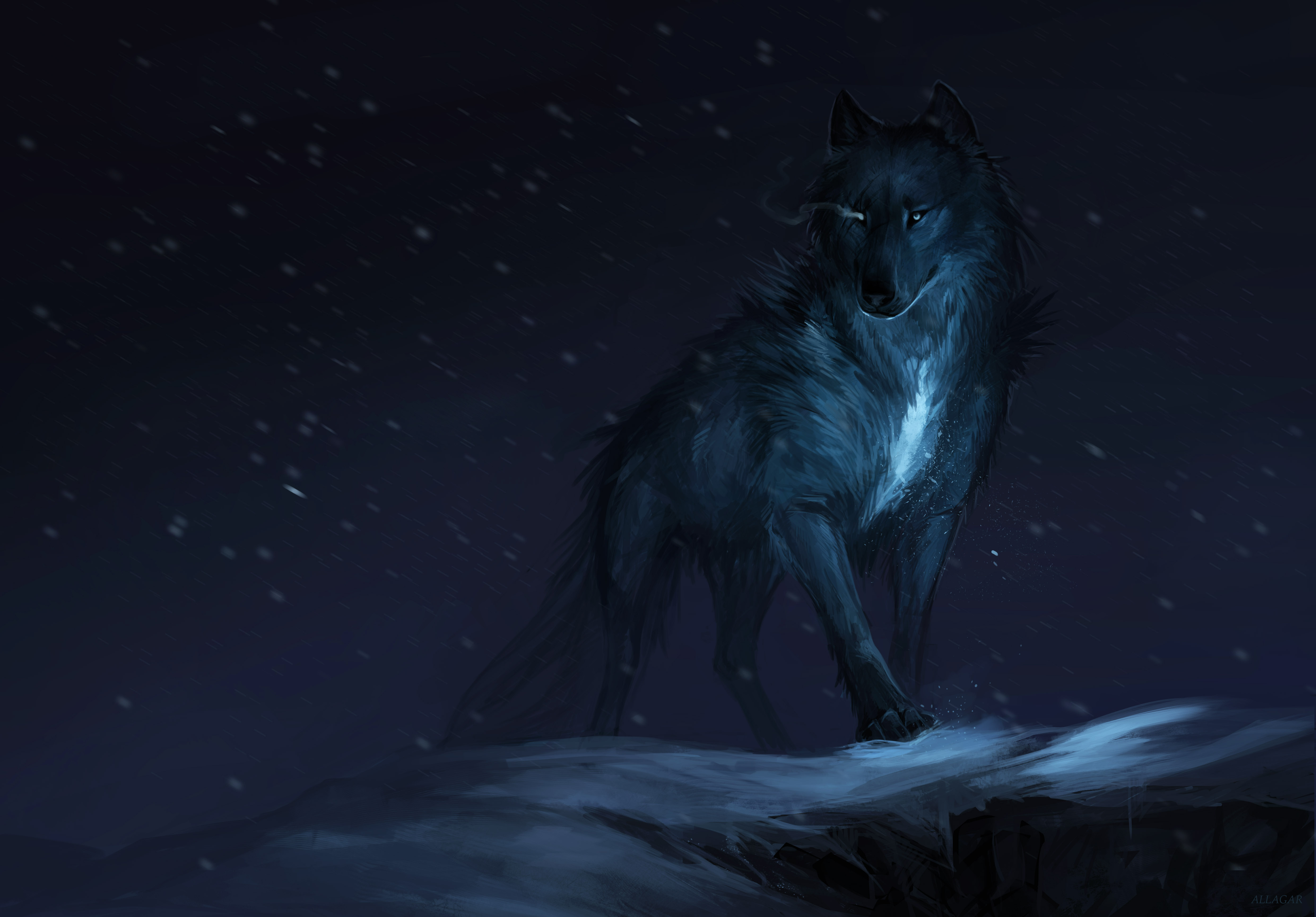 Глаза волка ночью