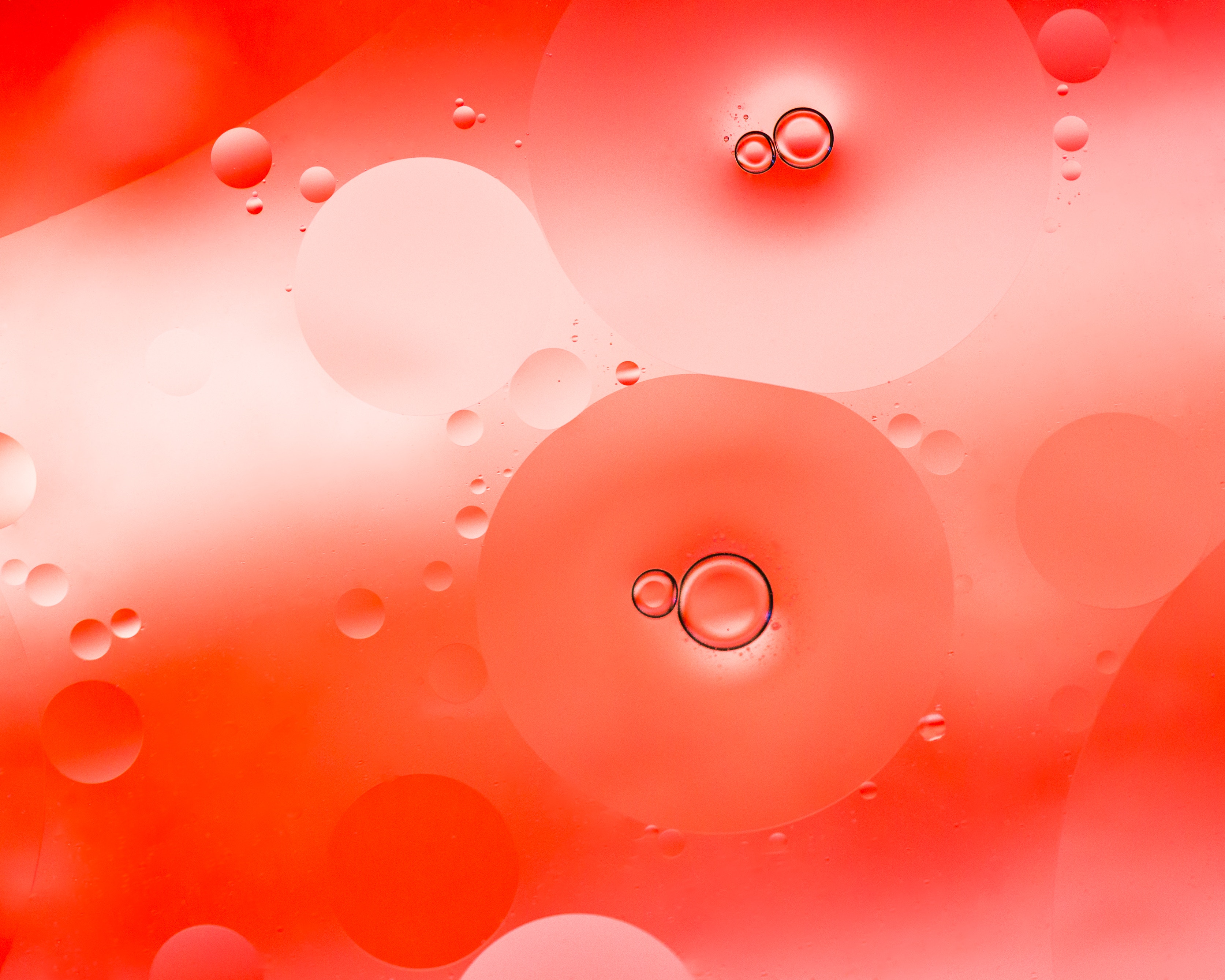 bubbles, circles, macro, liquid