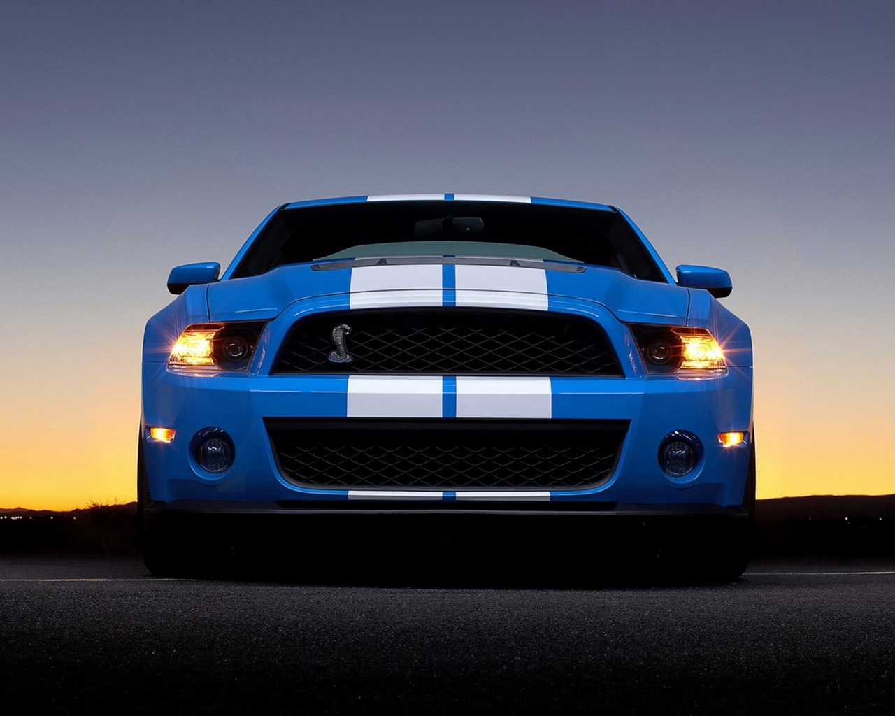 Ford Mustang Shelby gt500 2012