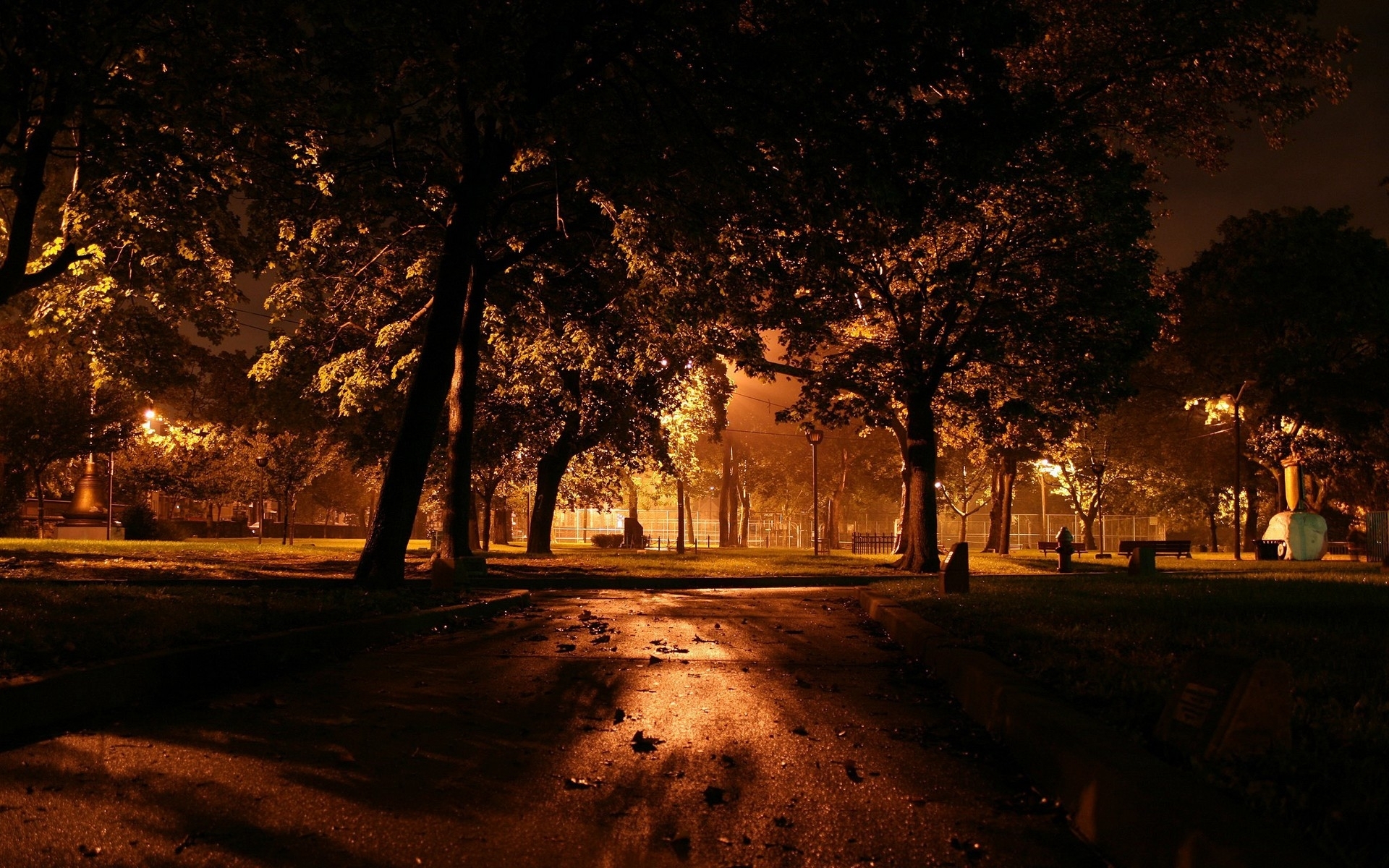 autumn, night, black, plants, cities, trees, parks