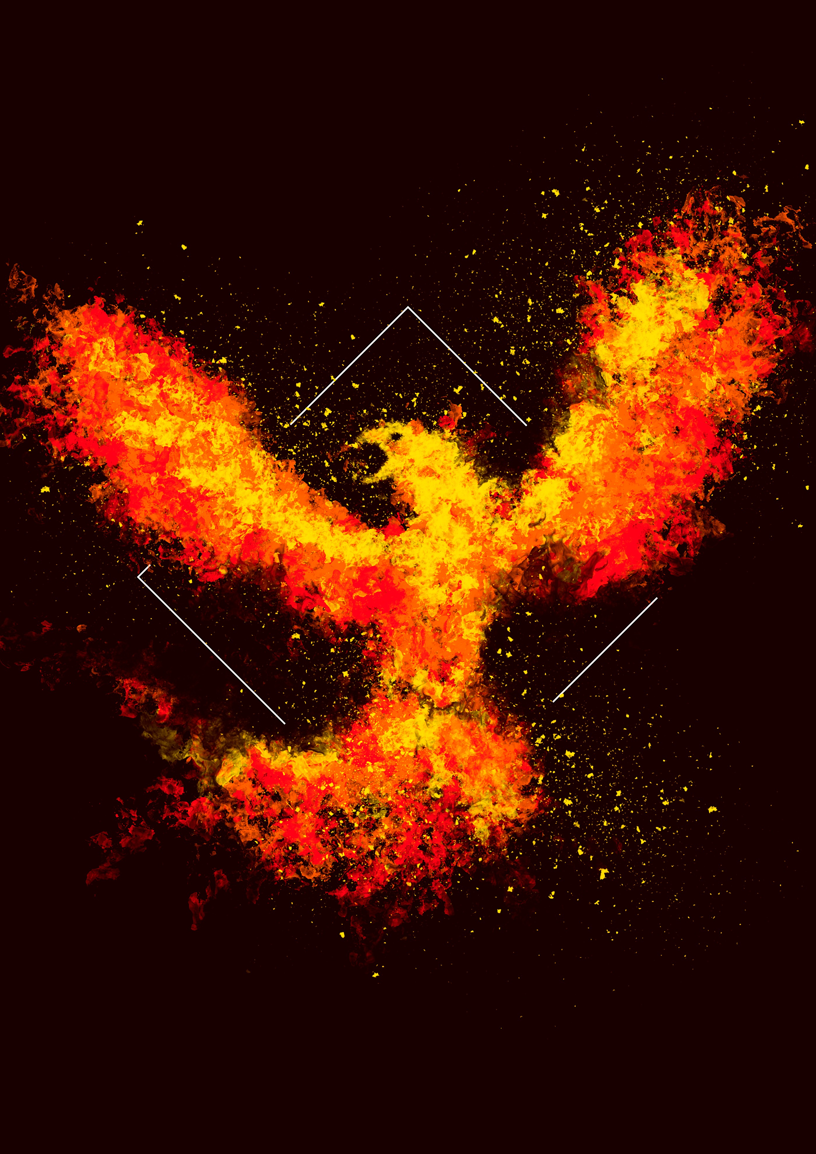 phoenix, art, fire, bird, square 4K Ultra