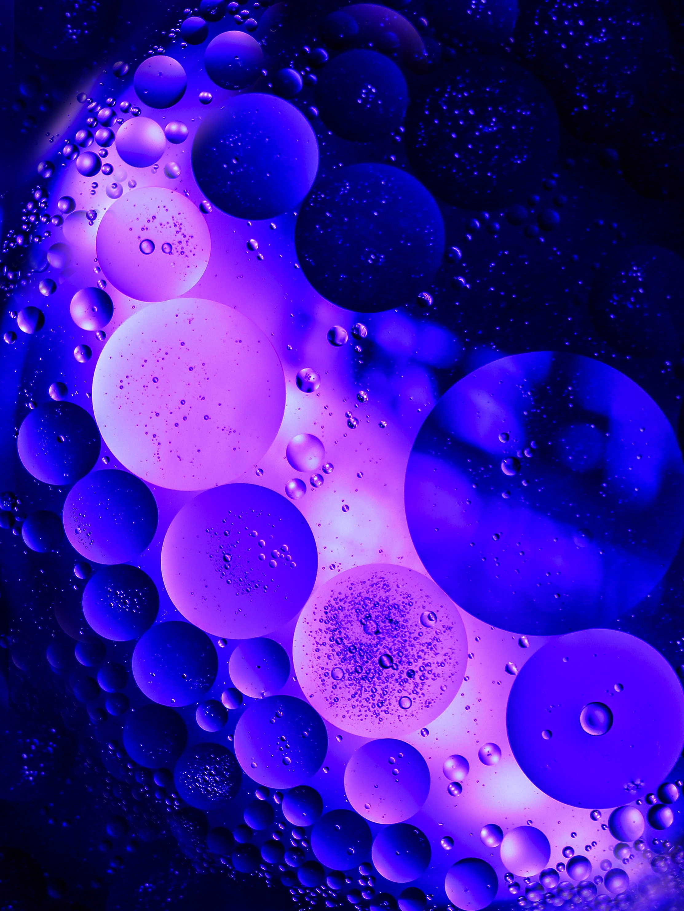 purple, violet, dark, circles, bubbles, macro, form cell phone wallpapers