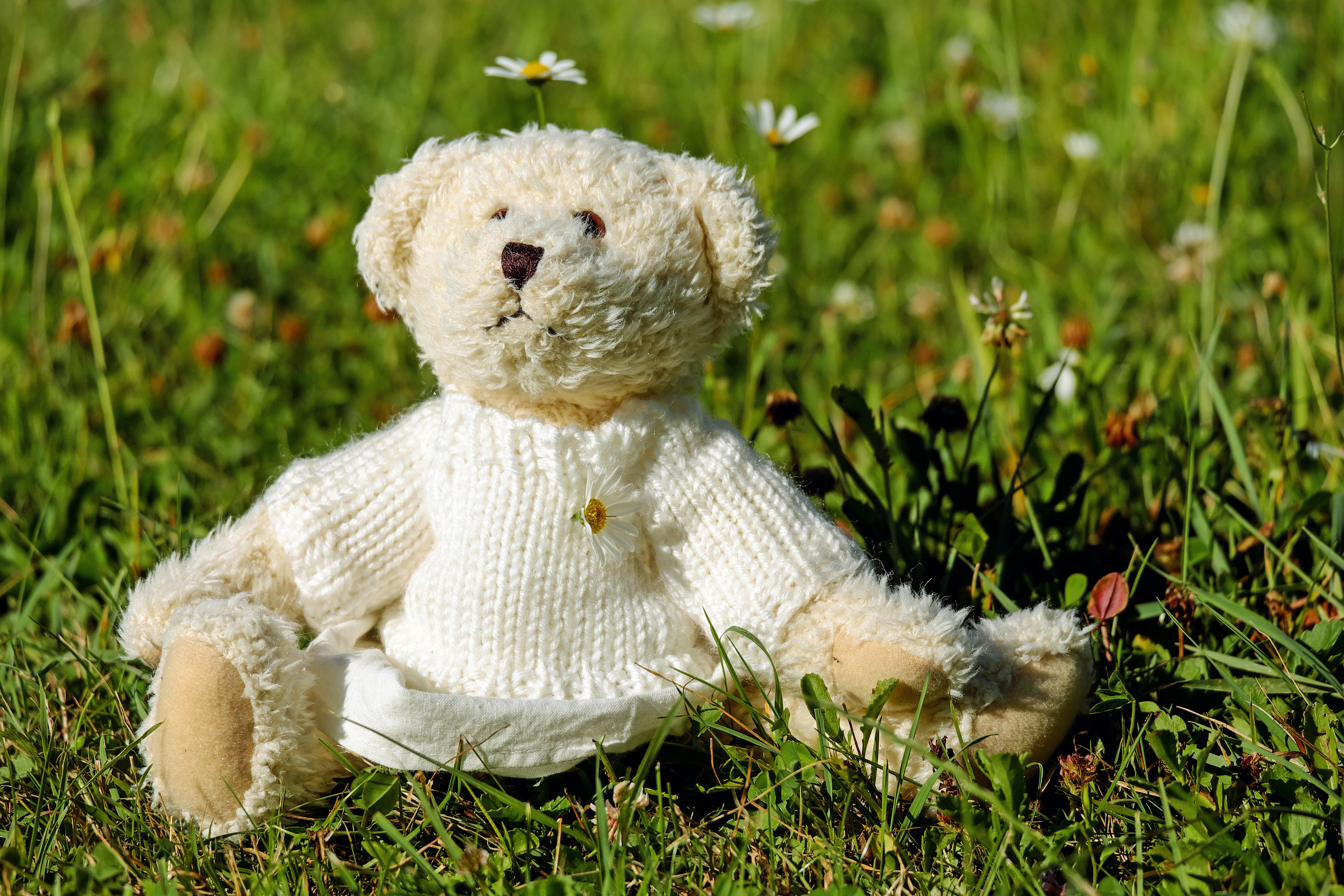 teddy bear, grass, miscellanea, miscellaneous, toy, blouse, jersey lock screen backgrounds