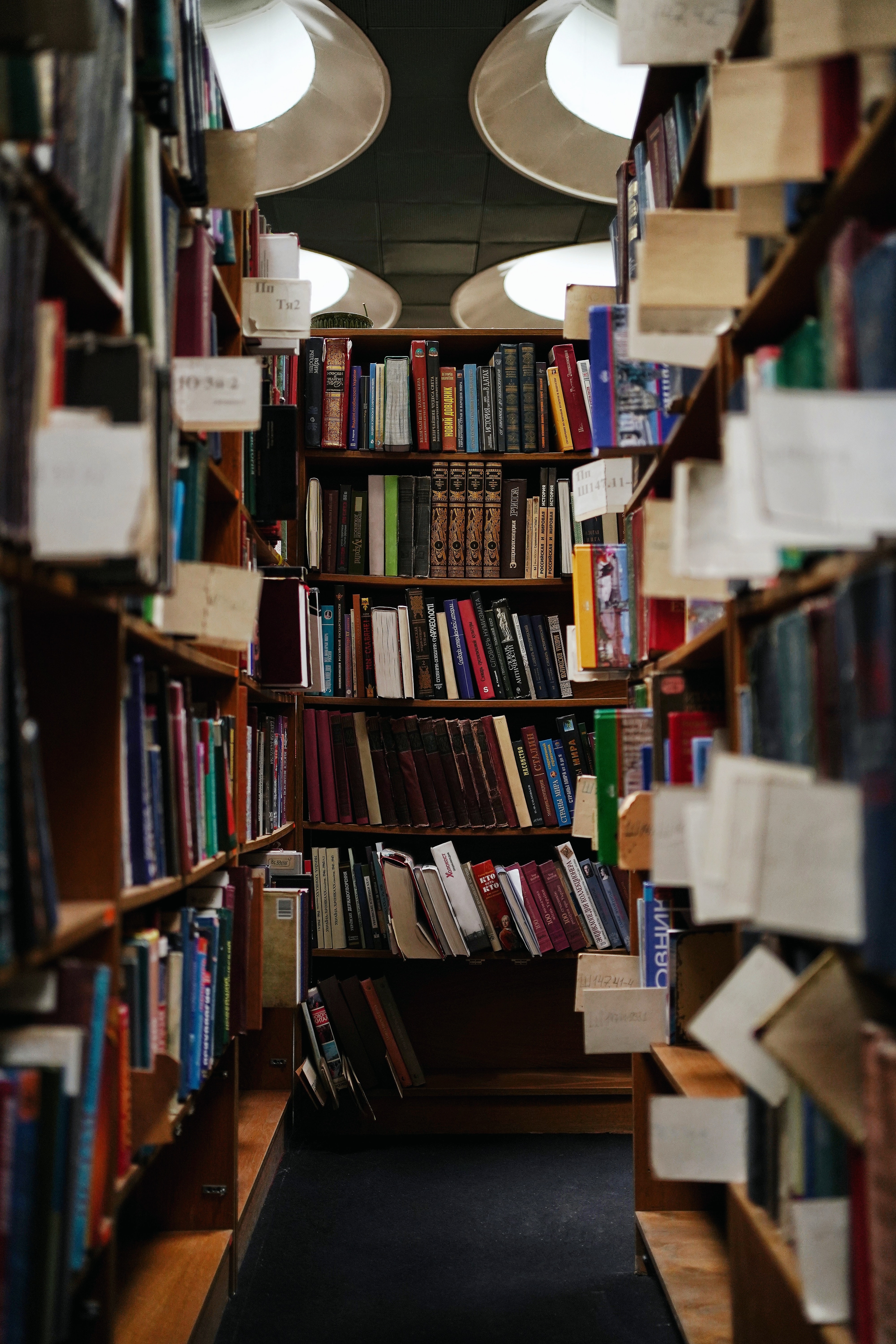 books, shelves, library, miscellanea, miscellaneous, racks