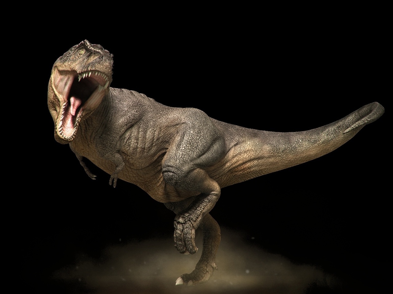 Baixar papel de parede para celular de Animais, Dinossauros gratuito.