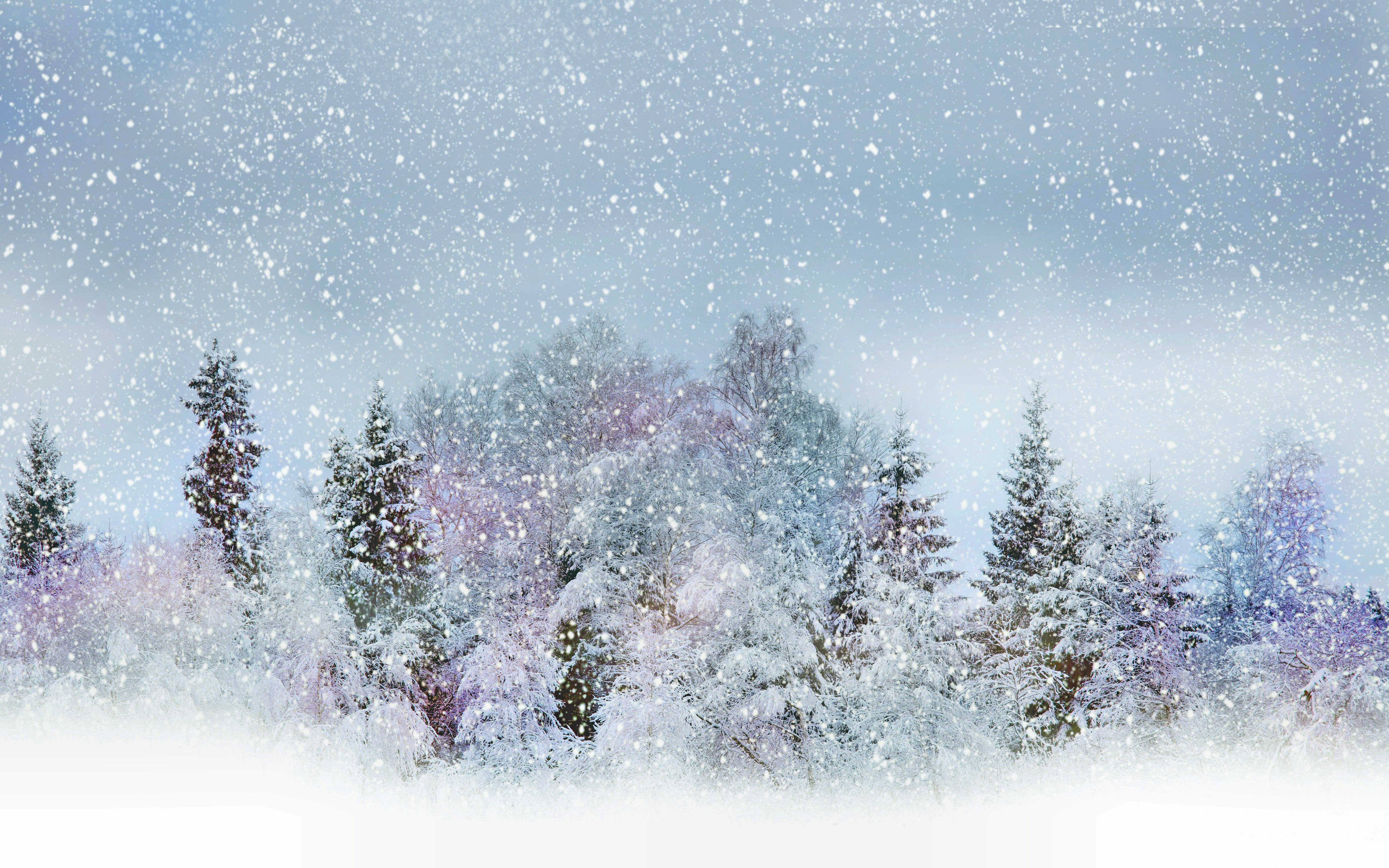 Free download wallpaper Winter, Nature, Sky, Snow, Tree, Fog, Earth on your PC desktop