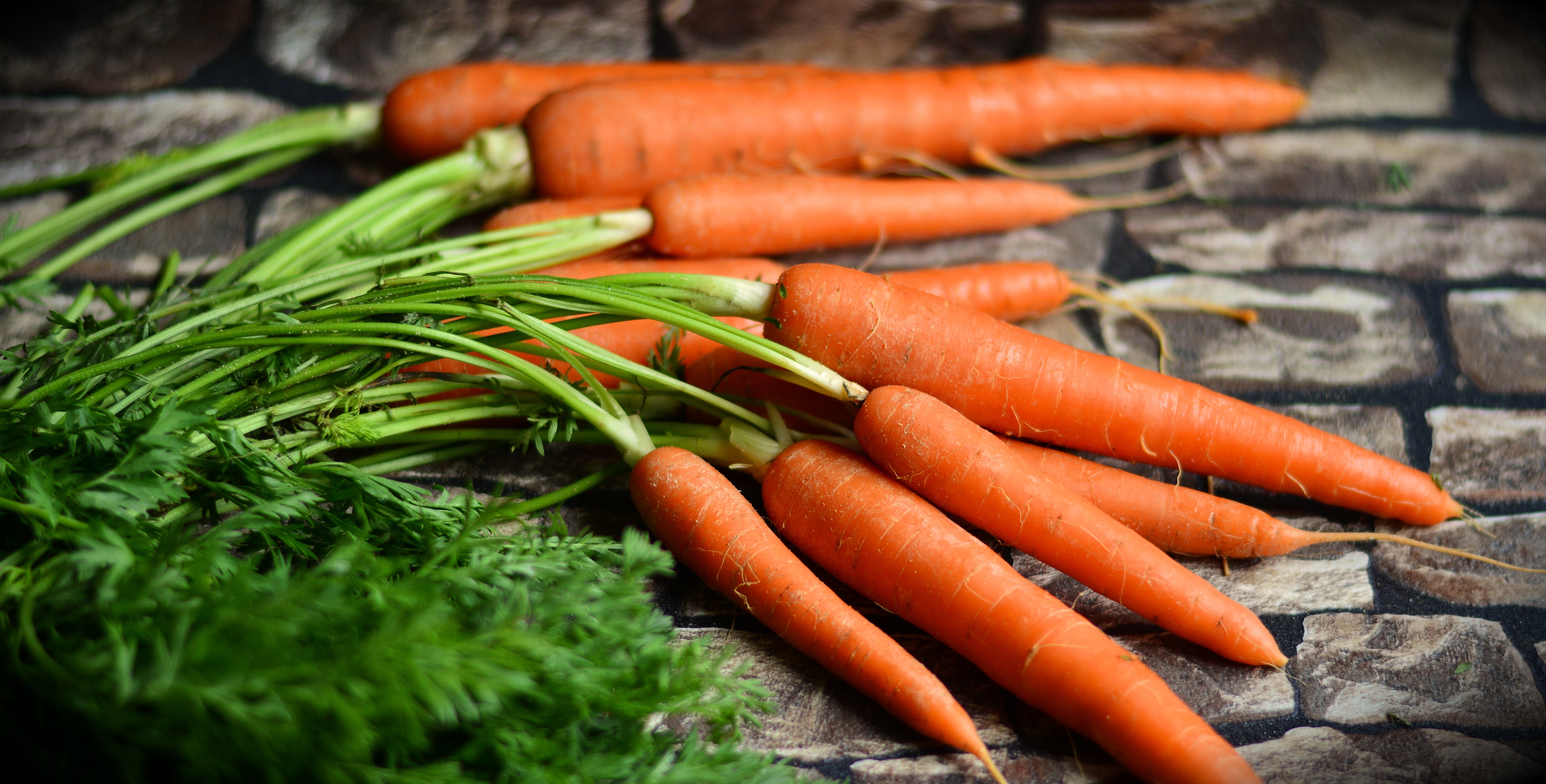 89674 скачать обои морковь, овощи, урожай, еда - заставки и картинки бесплатно