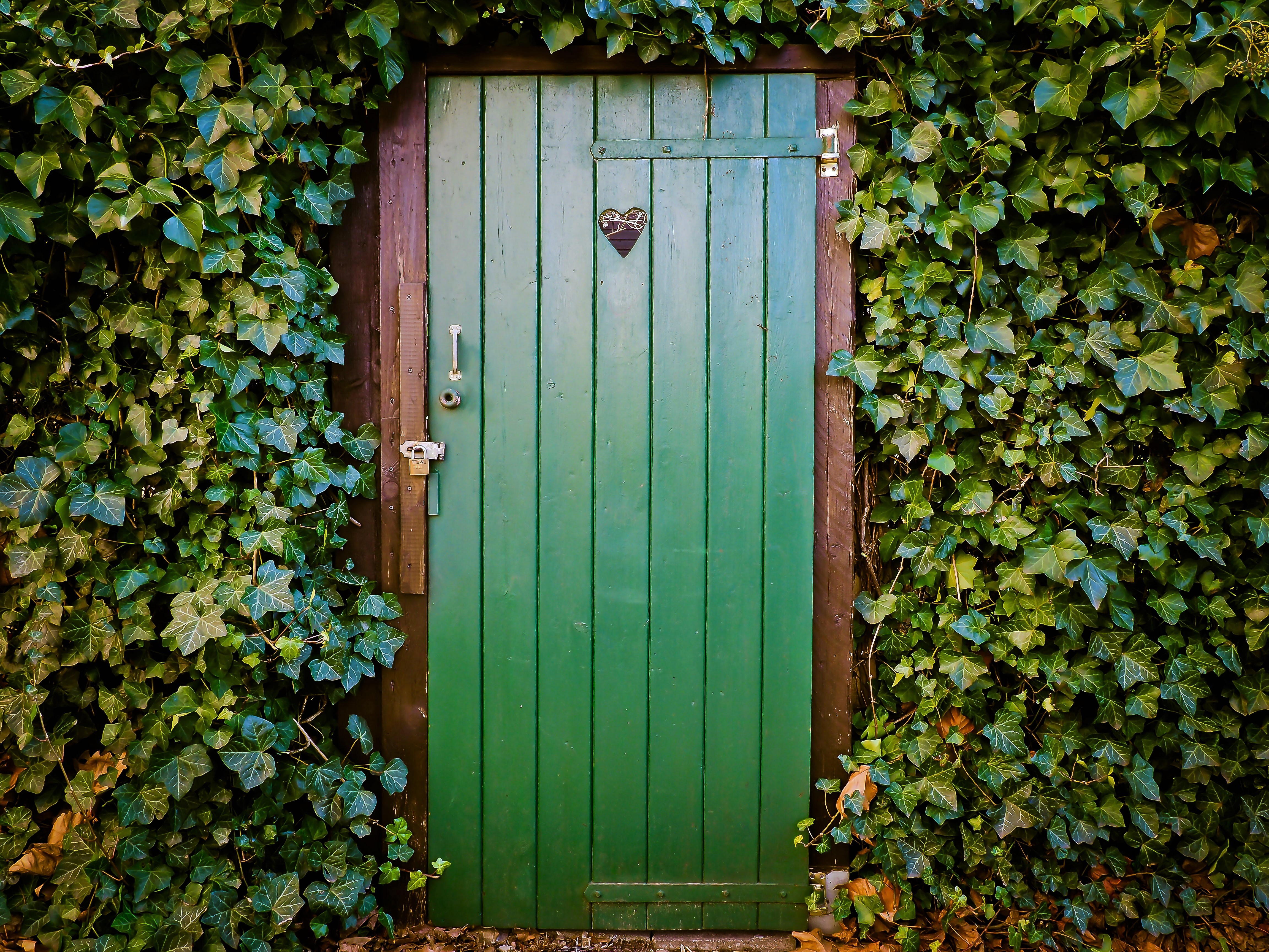 HD wallpaper man made, door, green, heart, ivy