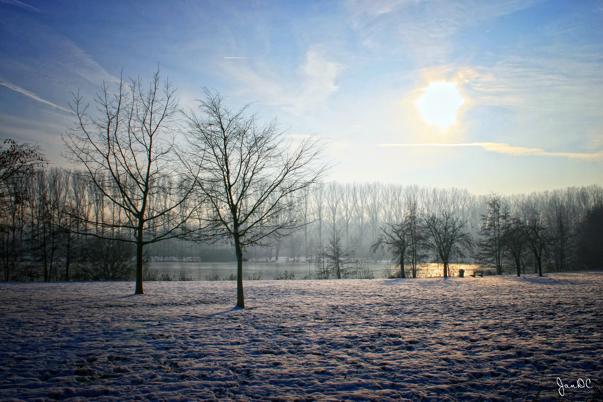 156197 Hintergrundbild herunterladen winter, natur, bäume, sky, sun, garten, klar, ich verstehe, belgien - Bildschirmschoner und Bilder kostenlos