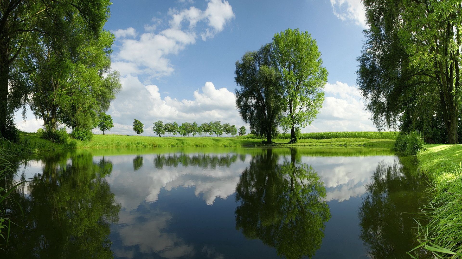 Baixe gratuitamente a imagem Natureza, Árvores, Verão, Lago na área de trabalho do seu PC
