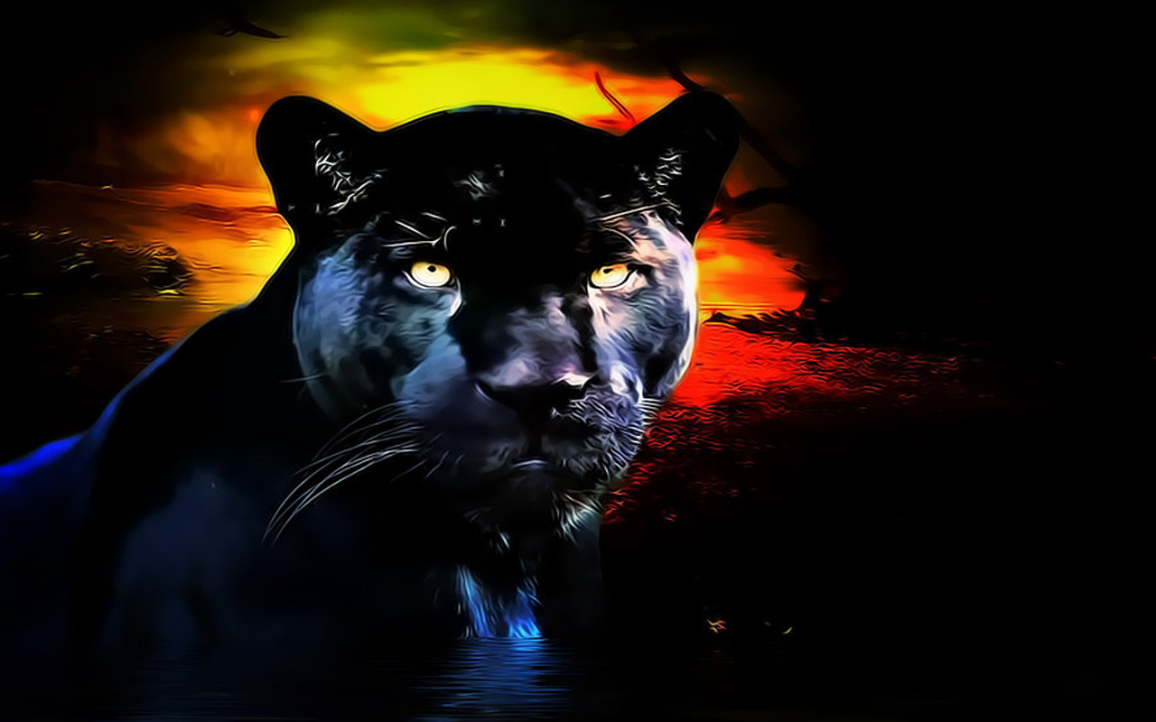 1456459 Bild herunterladen tiere, schwarzer panther, panther - Hintergrundbilder und Bildschirmschoner kostenlos