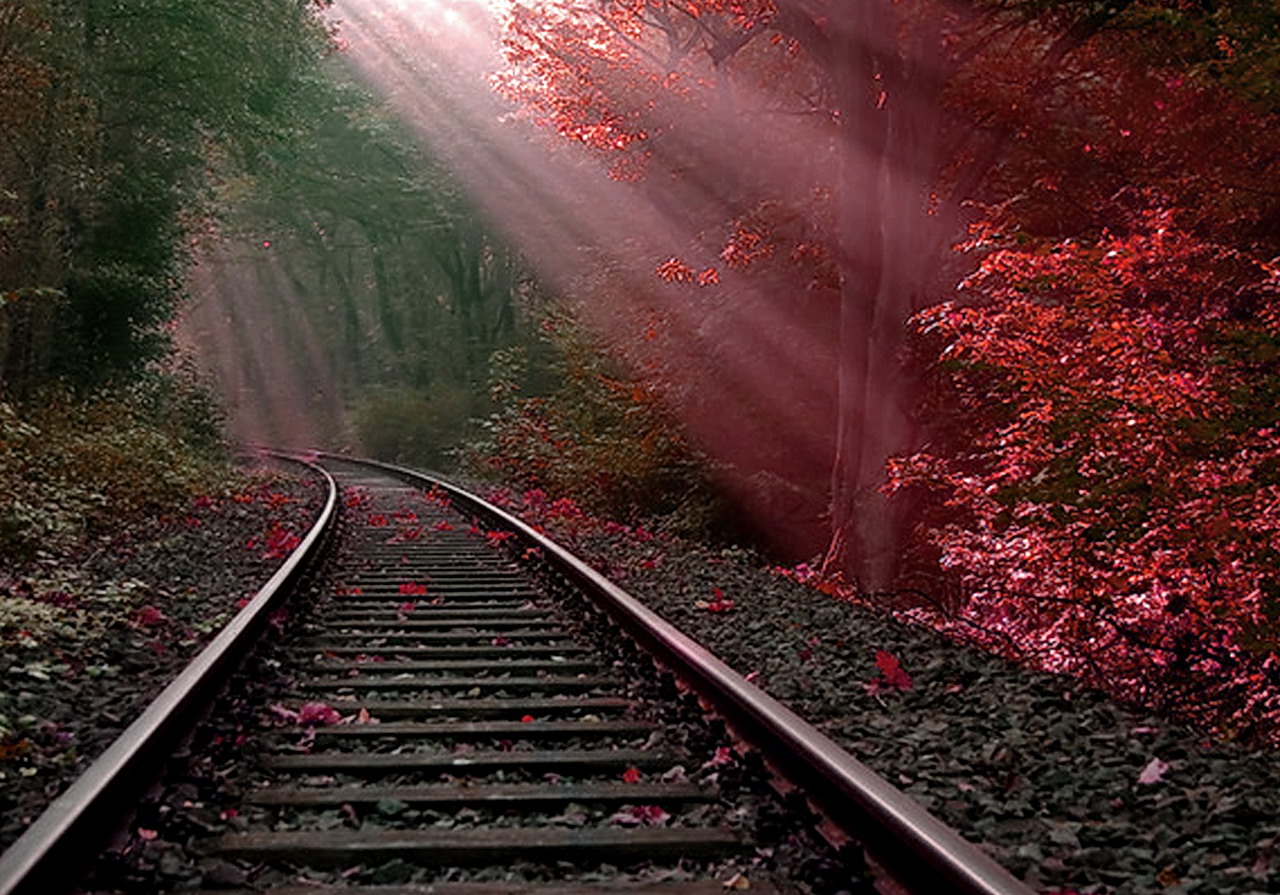 bush, sunbeam, man made, railroad Full HD