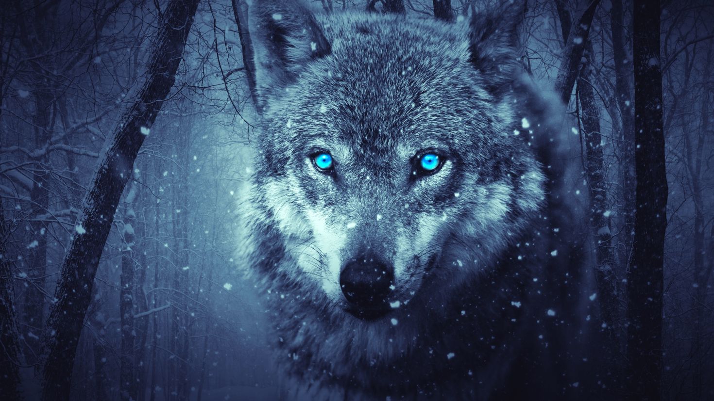 Волк на аву красивый