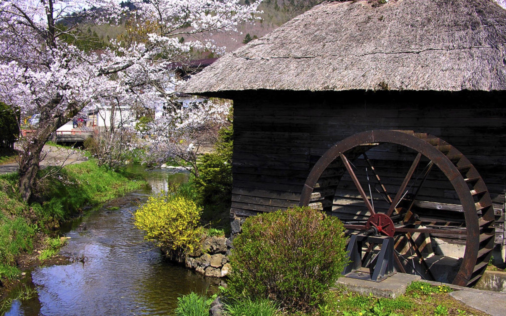 Watermill iPhone wallpapers