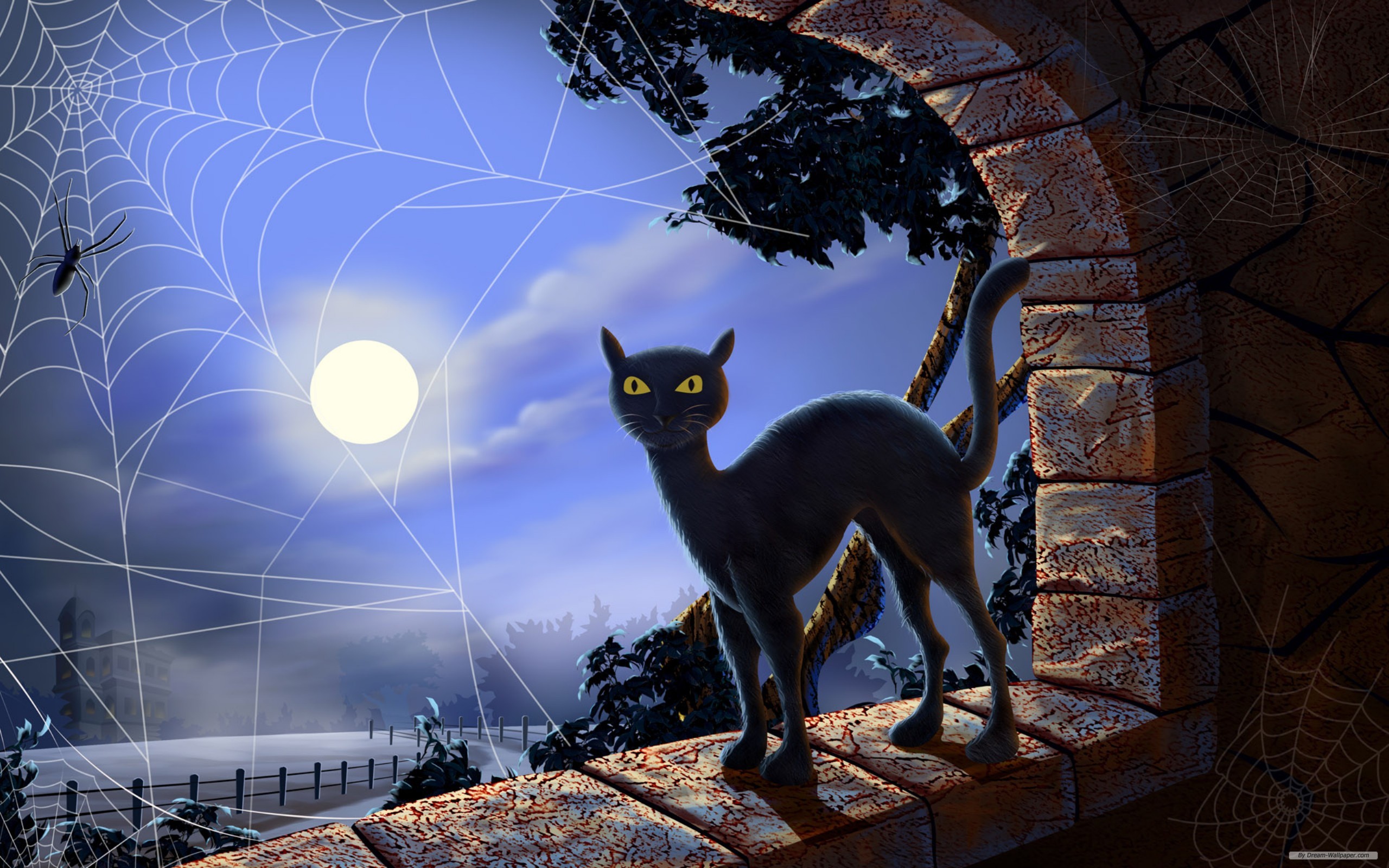 full moon, spider, holiday, halloween, cat, spider web