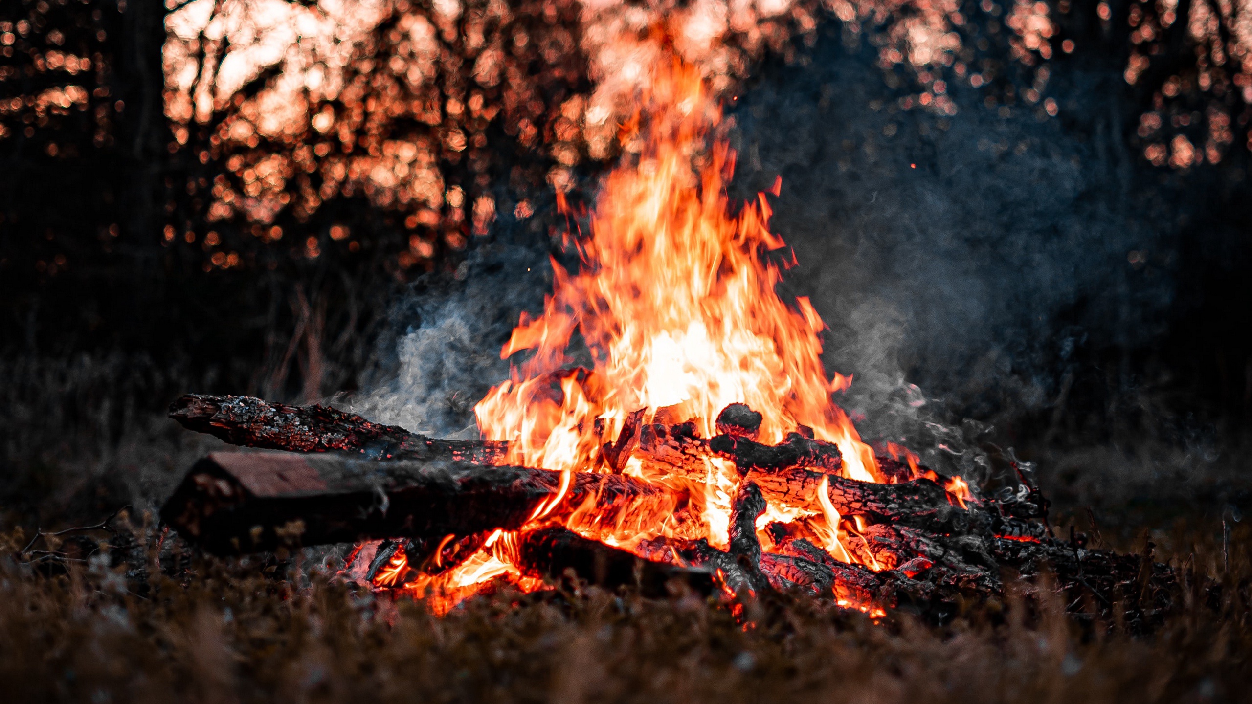 fire, firewood, bonfire, photography, flame, smoke 4K