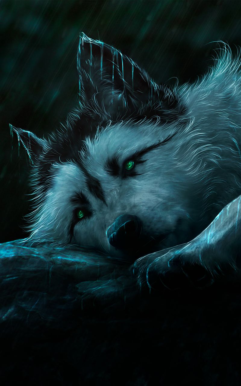 Sad Wolf Alone