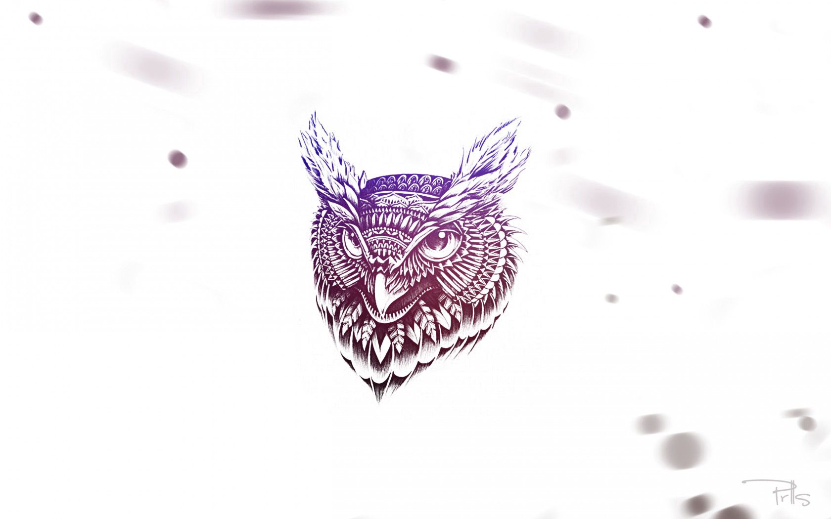 Download mobile wallpaper Owl, Feather, Face, Art, Vector for free.