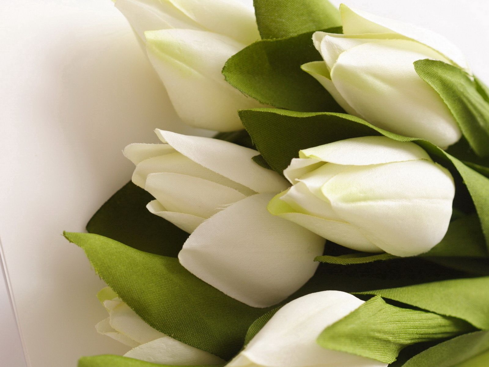 98953 descargar fondo de pantalla flores, tulipanes, blanco, ramo, artificial: protectores de pantalla e imágenes gratis