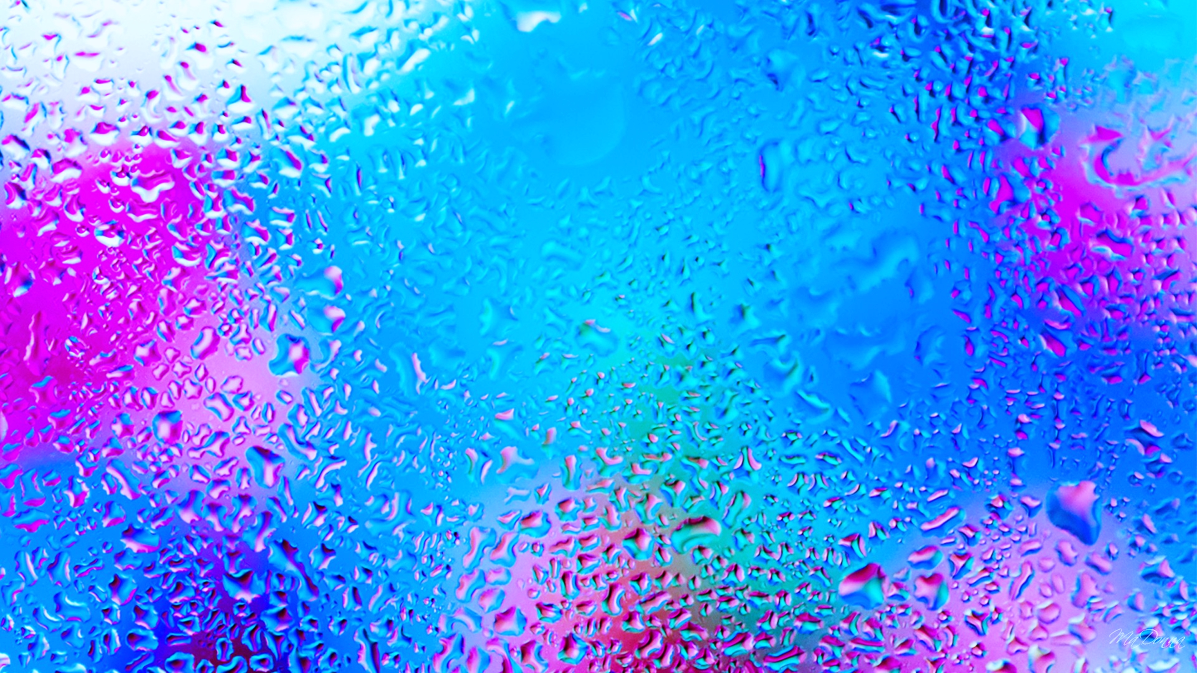water drop, water, rain, photography, window 5K