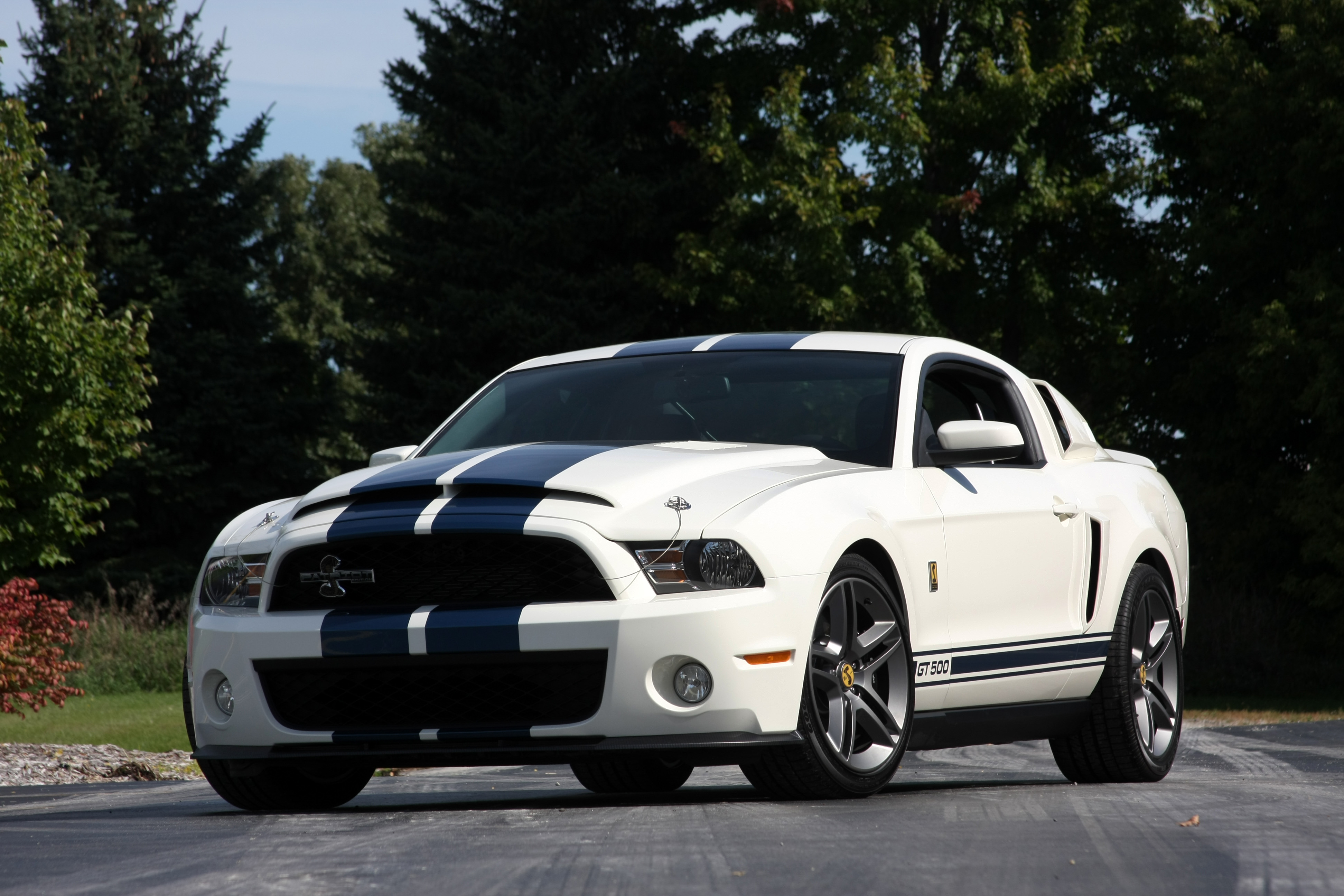 vehicles, shelby gt500, muscle car, white car, ford