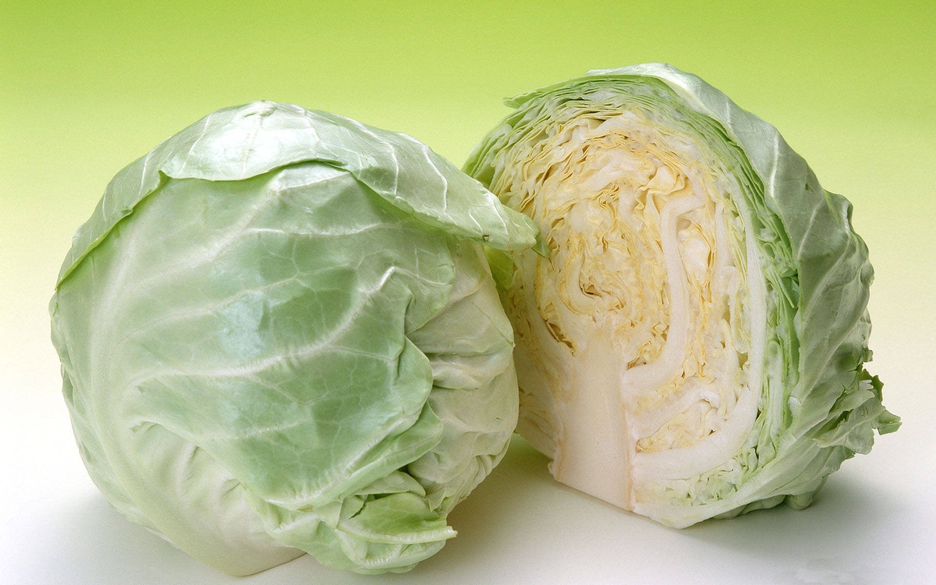8k Cabbage Images
