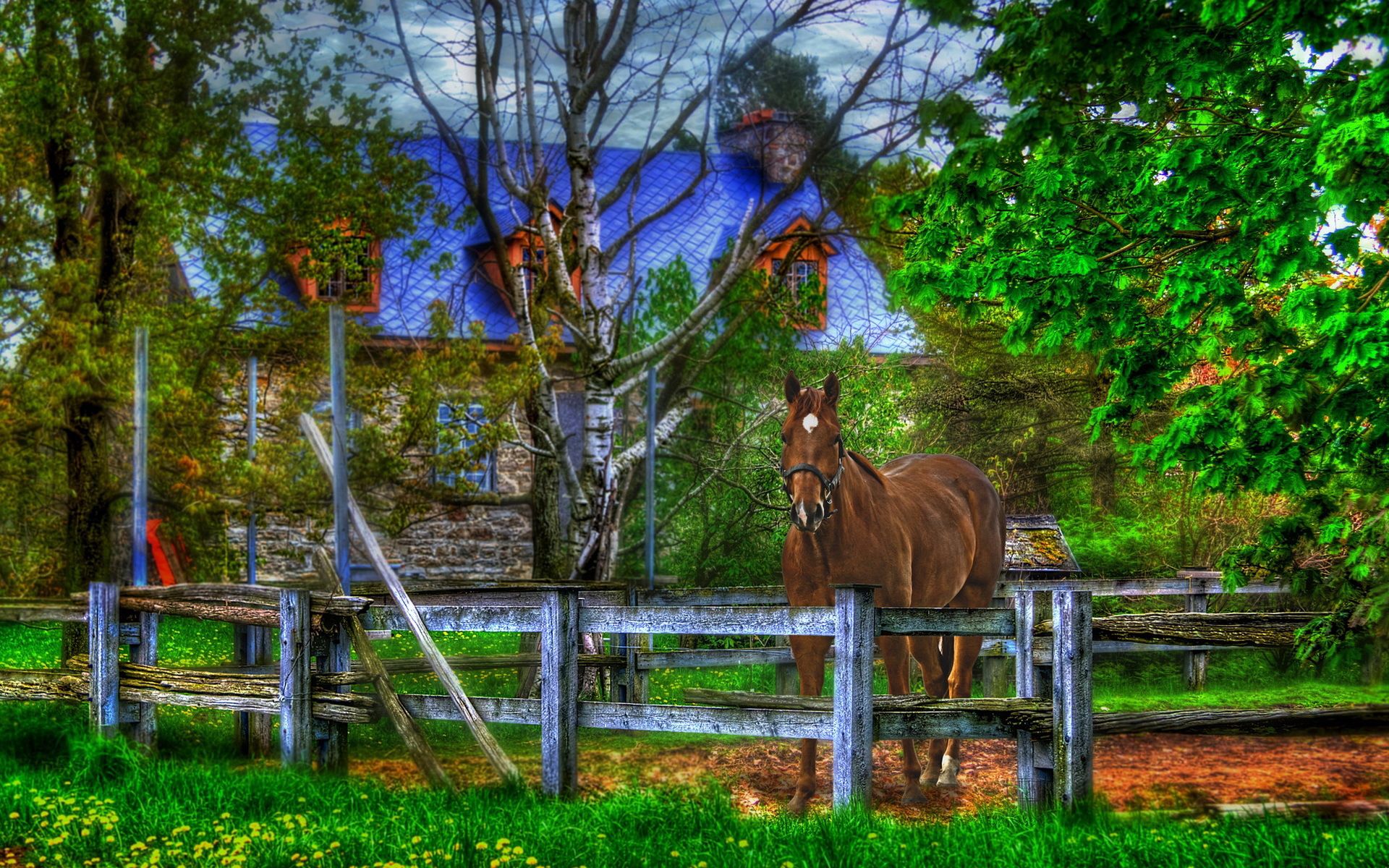 Download mobile wallpaper Horse, Fence, Animals, House for free.