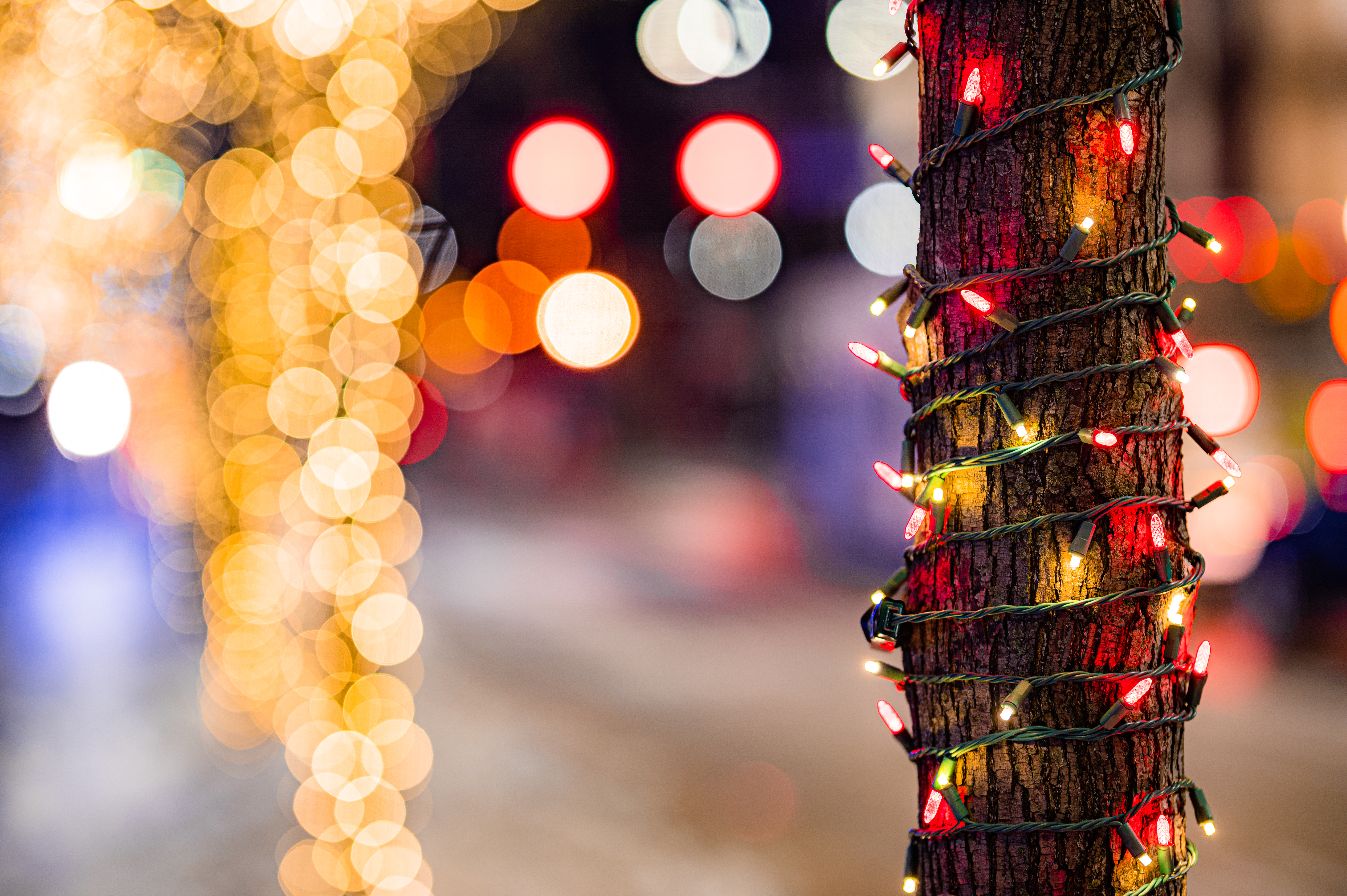 Download mobile wallpaper Lights, Garland, Wood, Tree, Holidays, Glare, Motley, Multicolored for free.