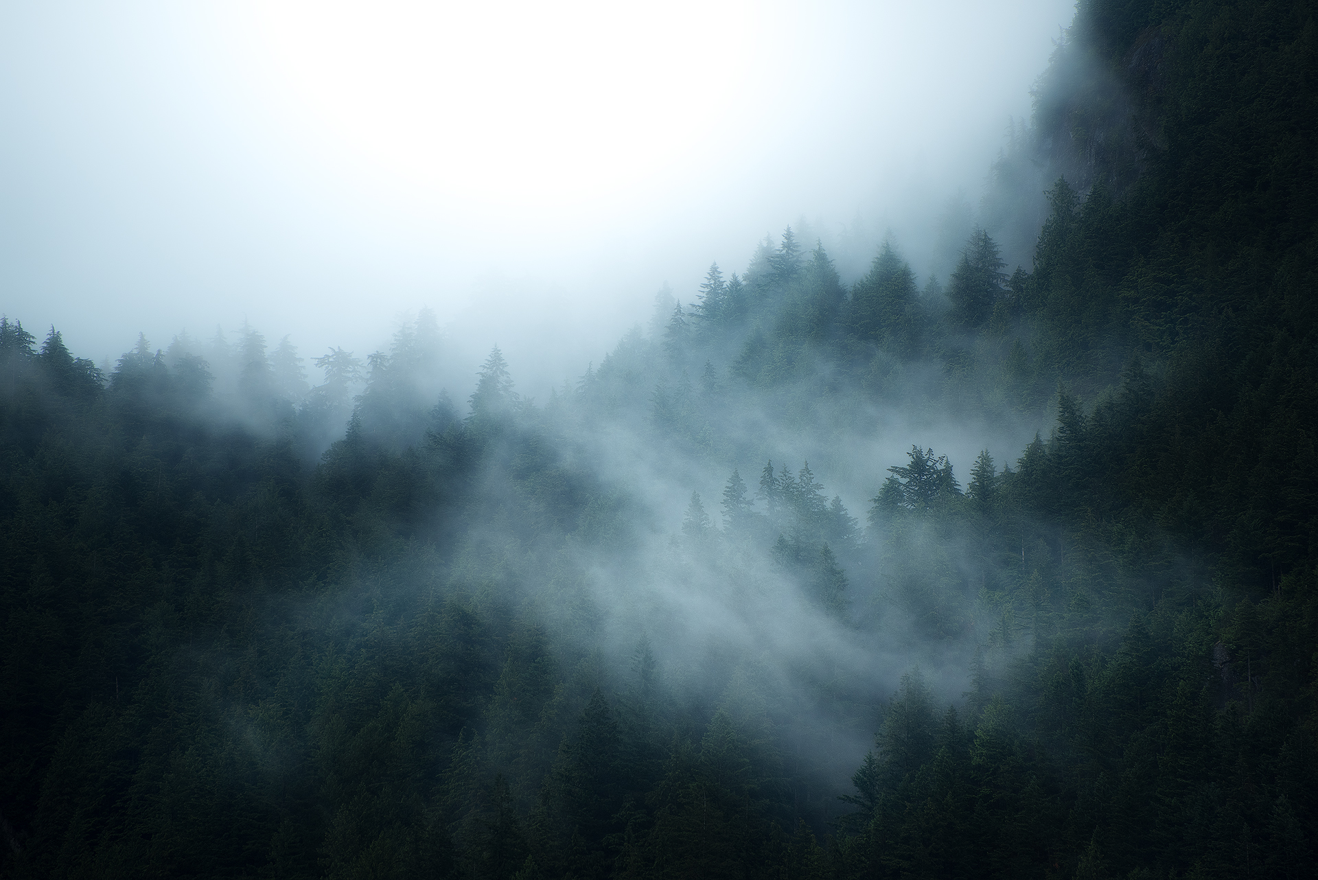 1012601 descargar imagen tierra/naturaleza, bosque, columbia británica, canadá, niebla: fondos de pantalla y protectores de pantalla gratis