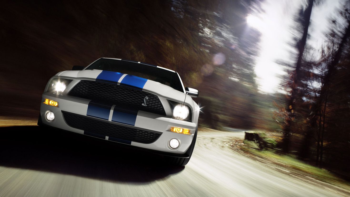 ford shelby