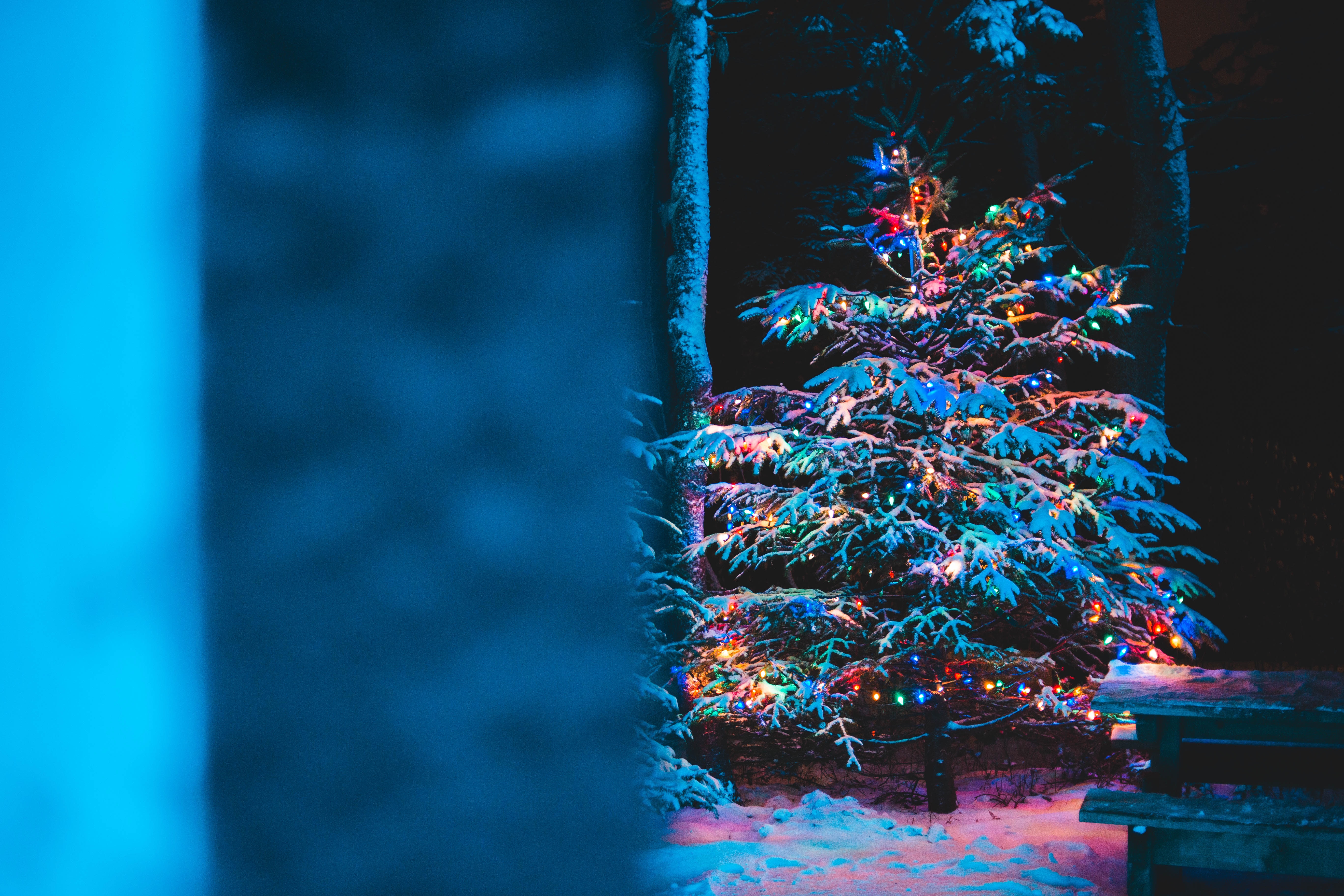 70150 скачать картинку елка, гирлянды, праздники, новый год, рождество, снег - обои и заставки бесплатно