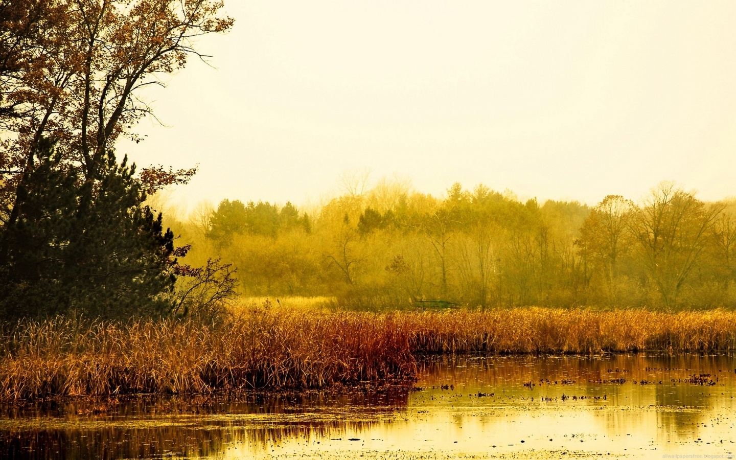 Download mobile wallpaper Landscape, Rivers, Autumn for free.