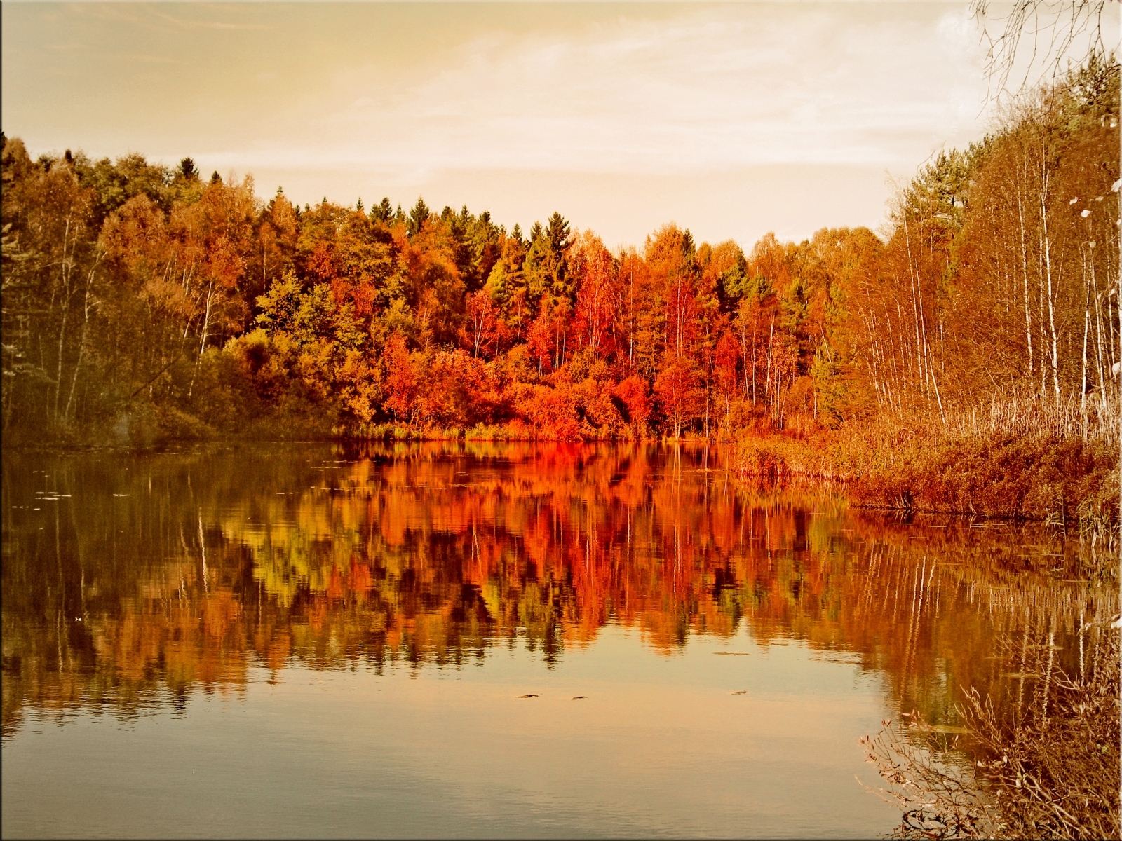 Handy-Wallpaper Landschaft, Bäume, Seen, Wasser, Herbst kostenlos herunterladen.