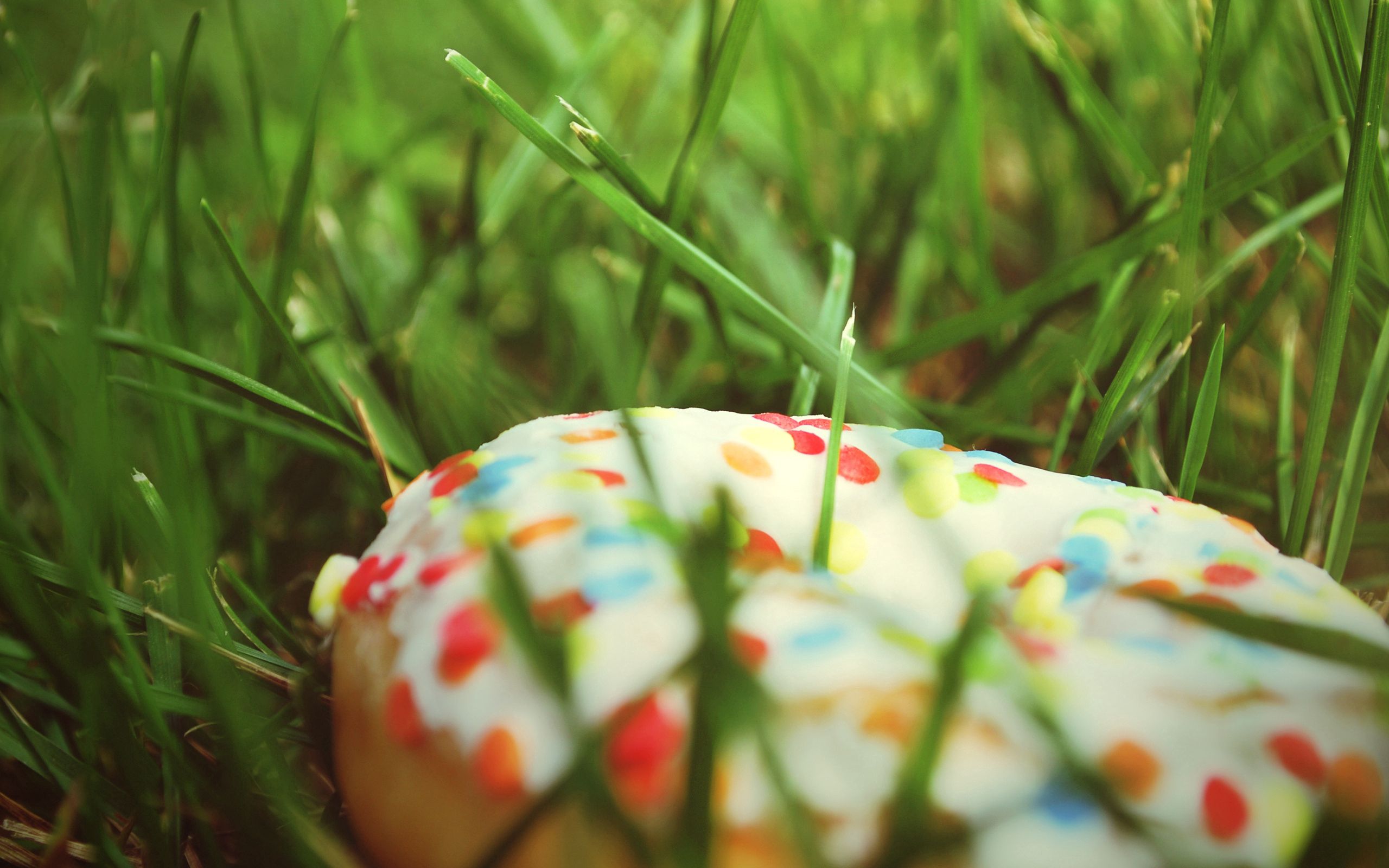 grass, macro, multicolored, motley, donut, doughnut, sprinkling, sprinkle