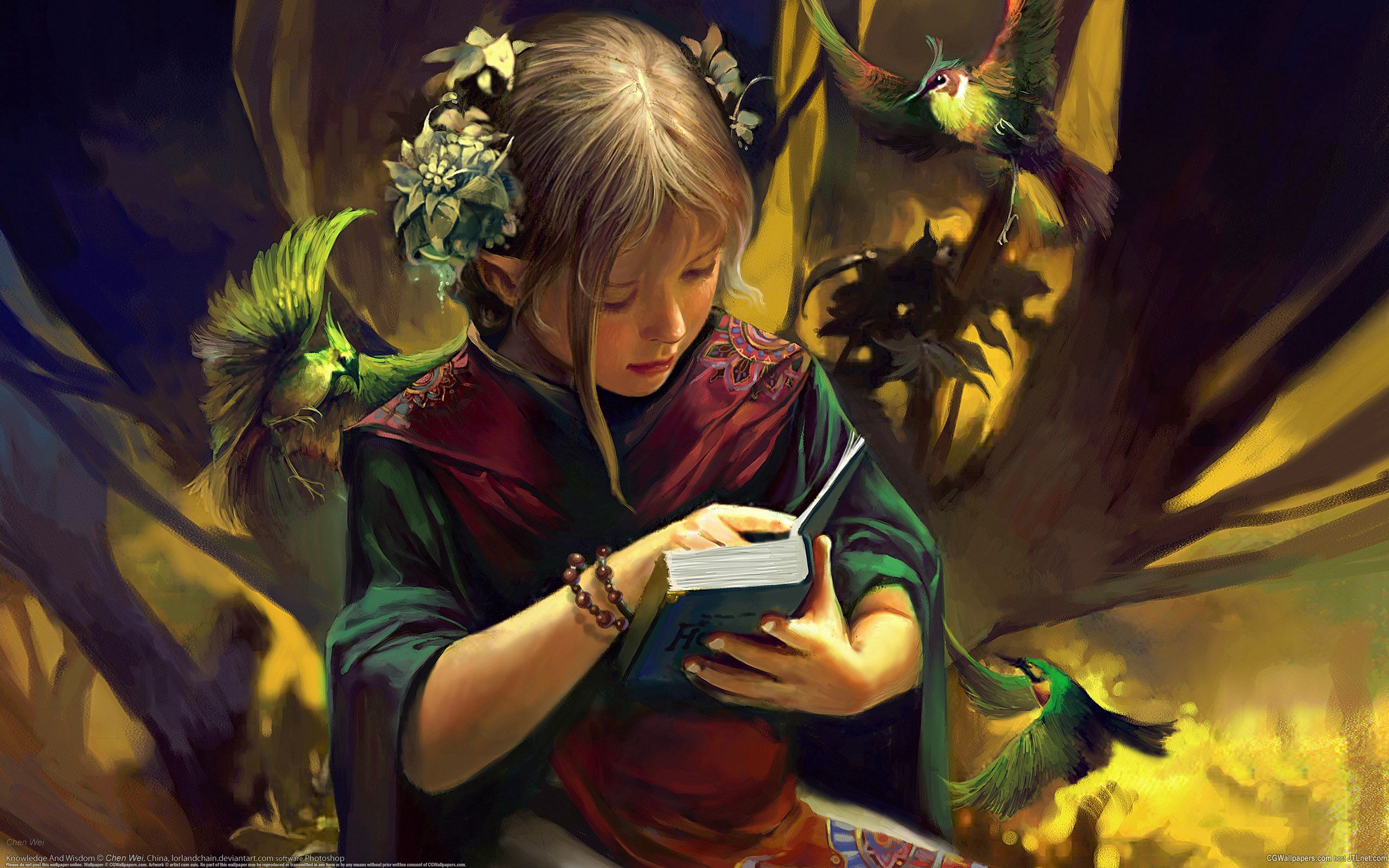 elf, girl, birds, fantasy, book QHD