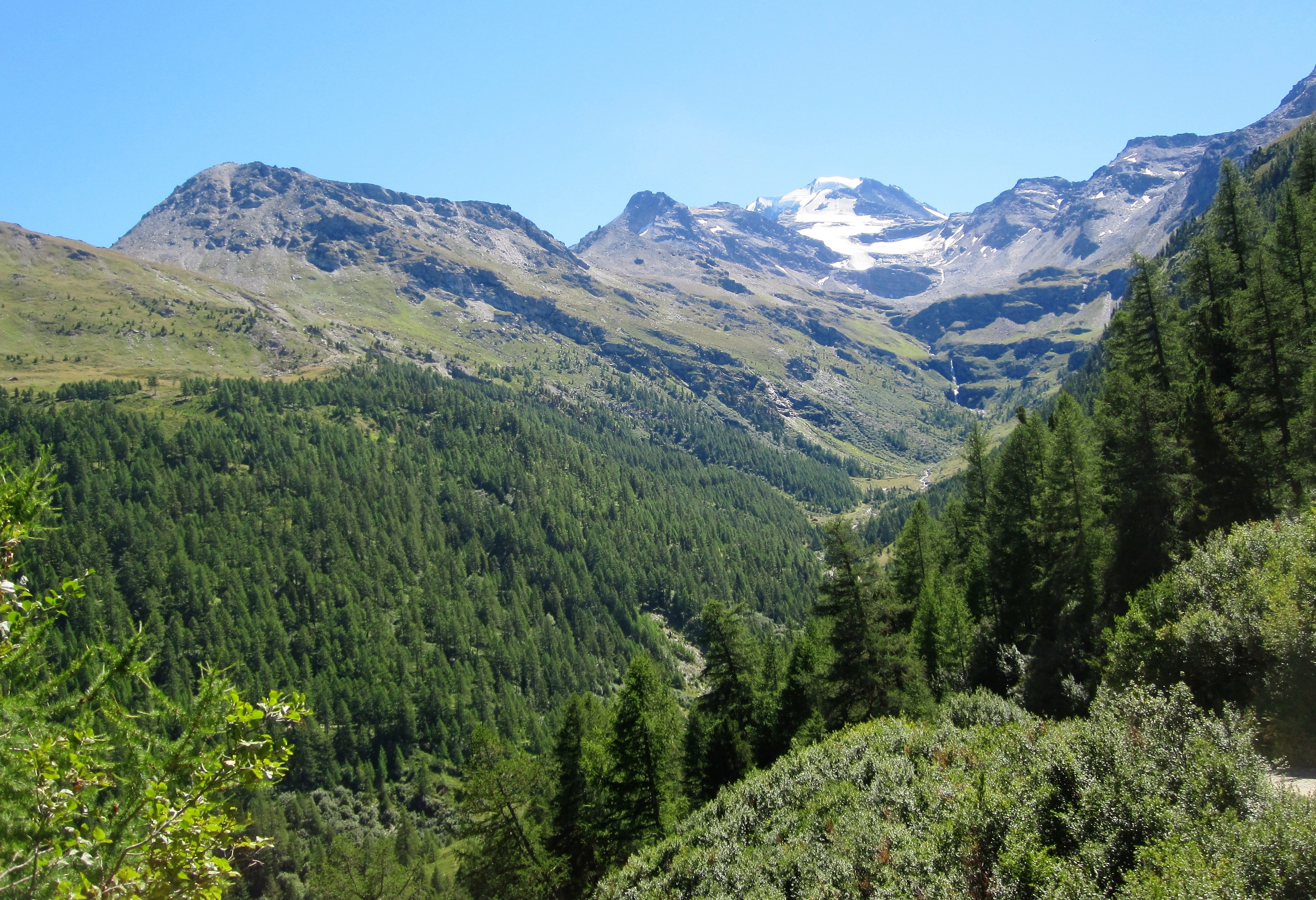 Широколиственные леса Швейцарии