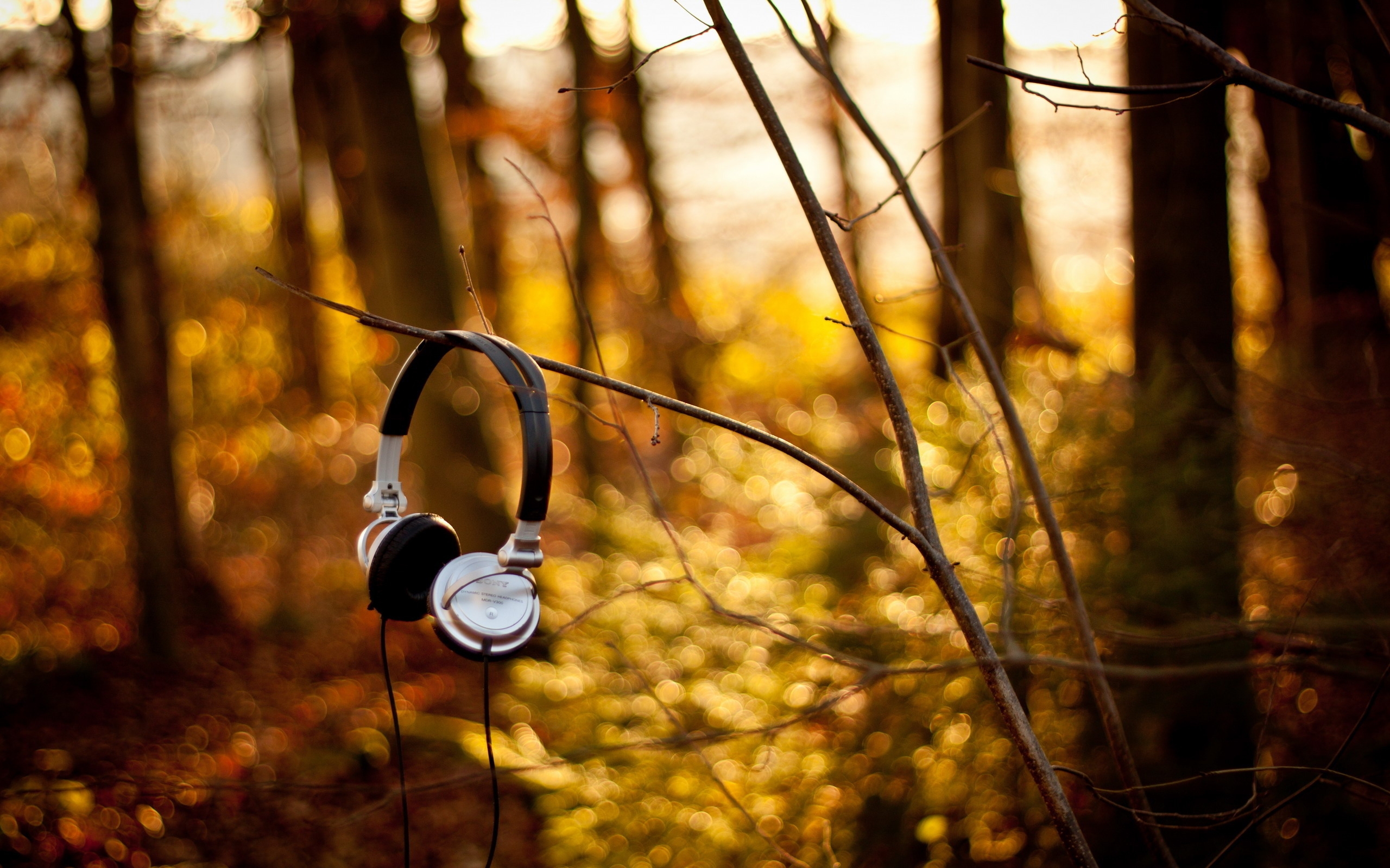 Лист музыка слушать лучшее. Наушники. Наушники на природе. Настроение осень. Осенние наушники.