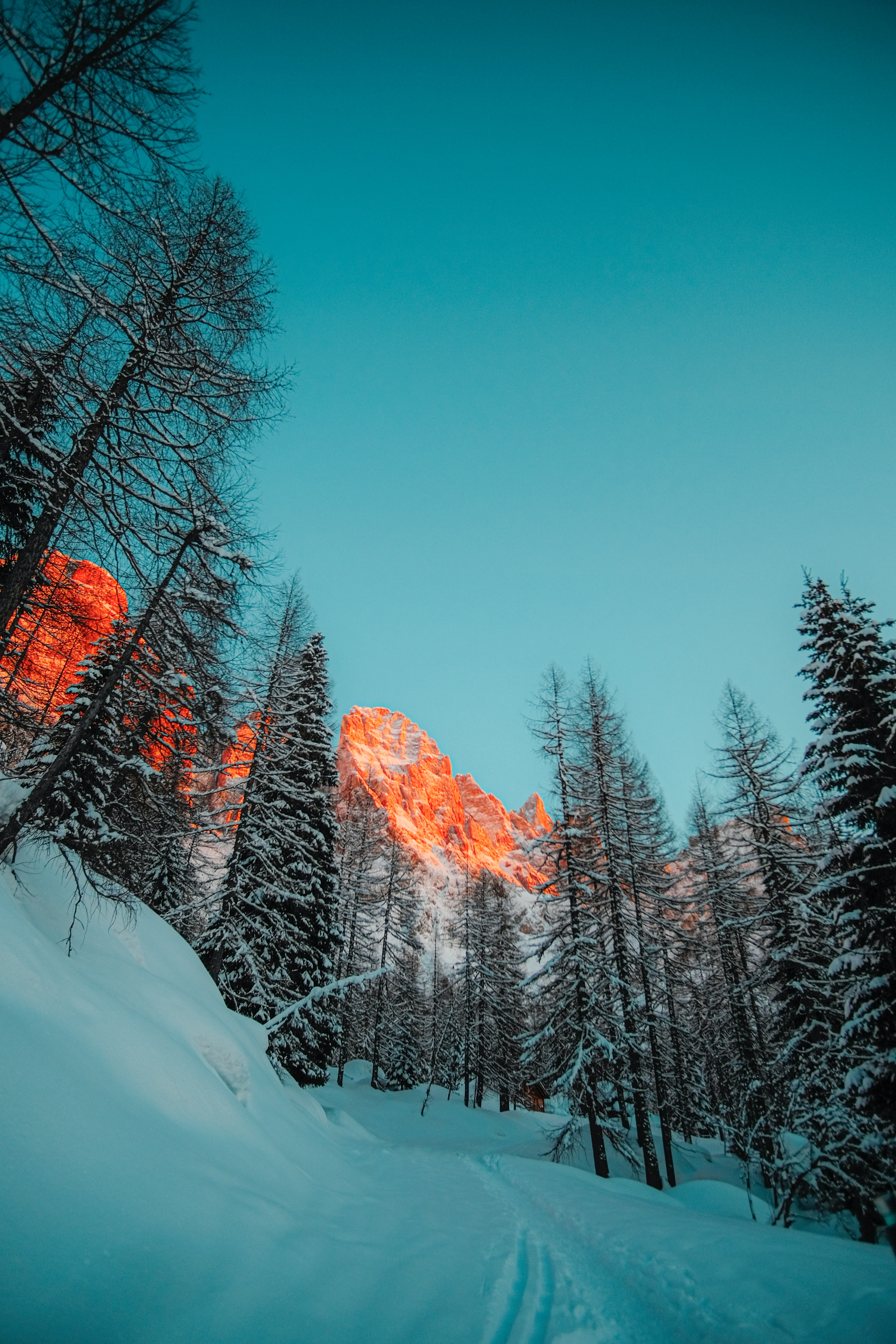 Скачать картинку Деревья, Горы, Снег, Природа, Лес, Зима в телефон бесплатно.