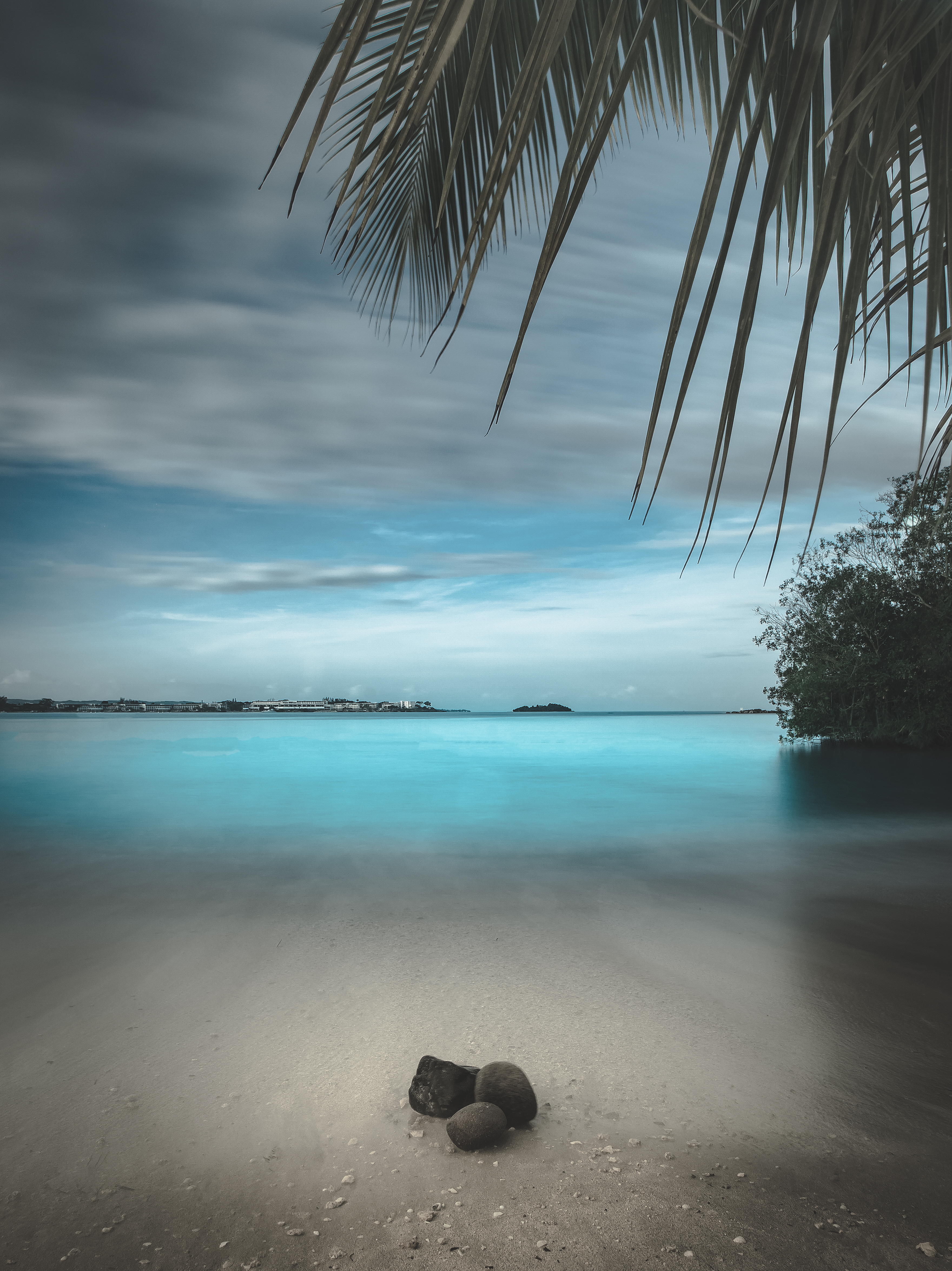 beach, stones, nature, sand, horizon, palm, branches phone wallpaper