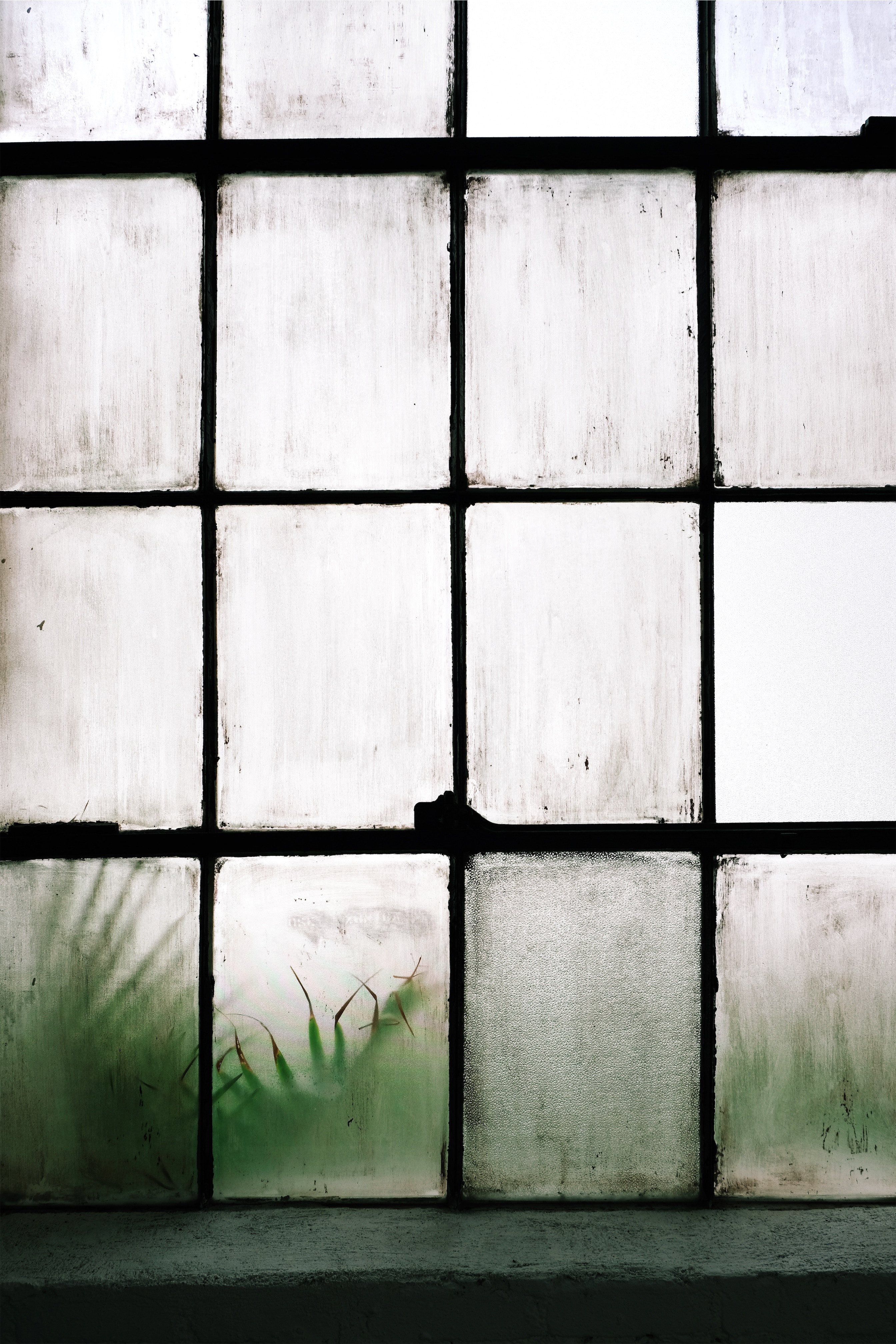 white, miscellanea, miscellaneous, glass, window, lattice, trellis, fogged up, weeping