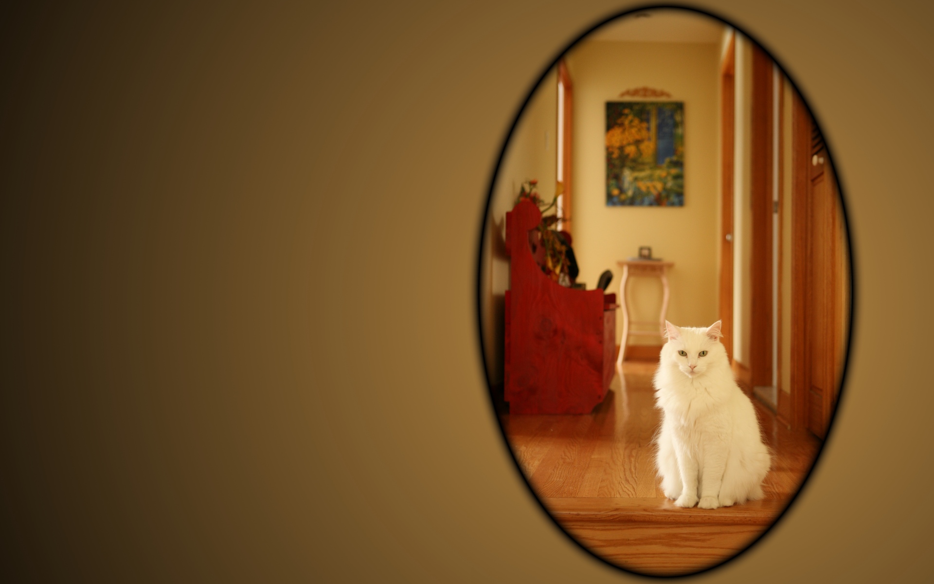 Кошка перед зеркалом