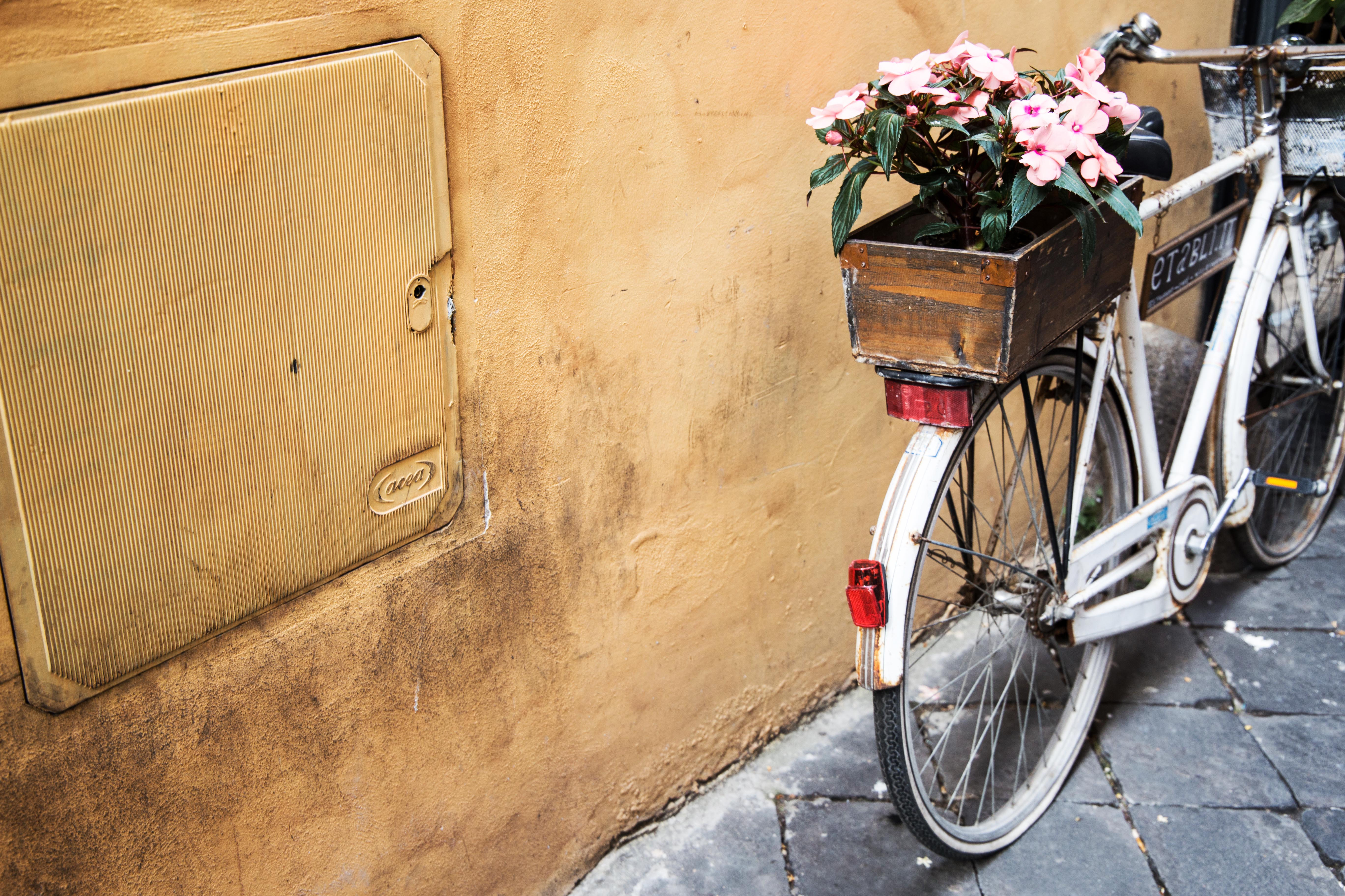 Download mobile wallpaper Basket, Flowers, Bicycle for free.