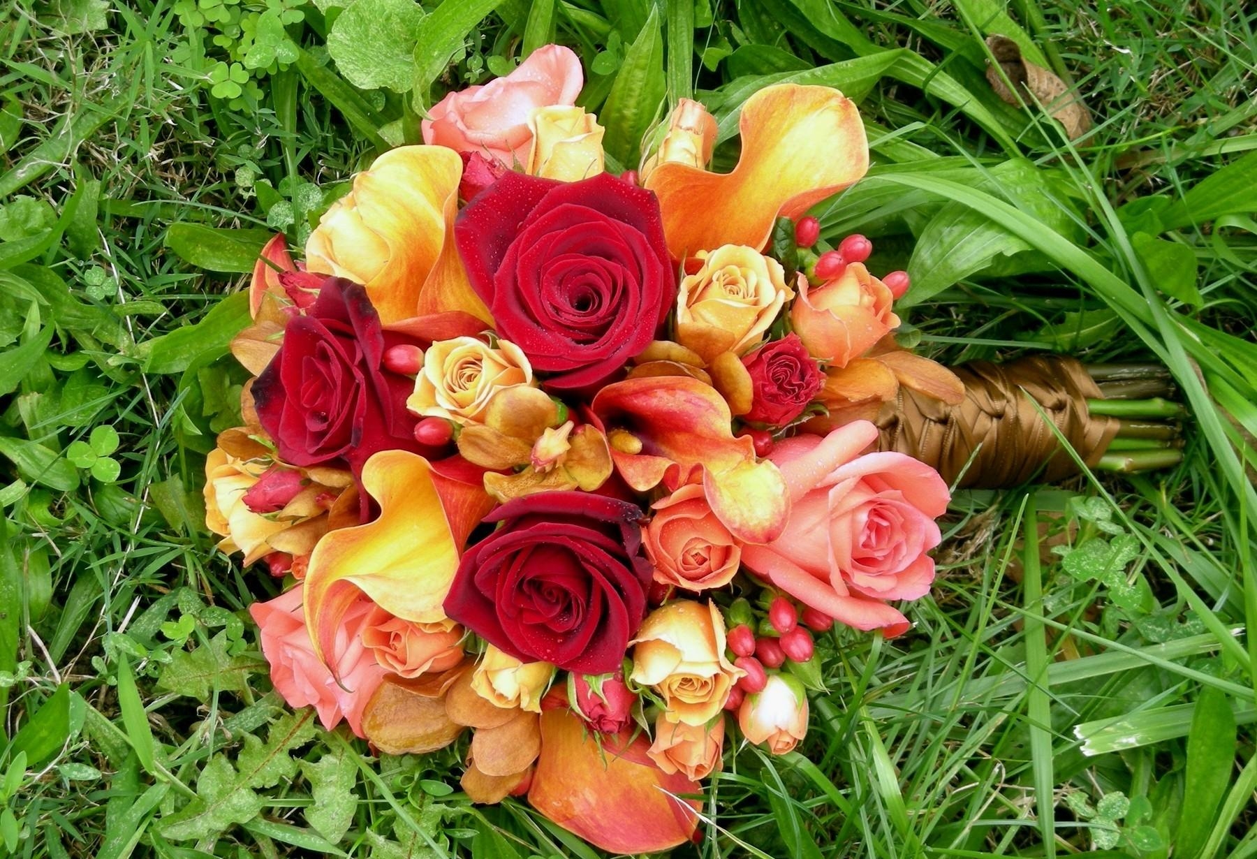 Download mobile wallpaper Bouquet, Calla, Callas, Grass, Orchids, Flowers, Roses for free.