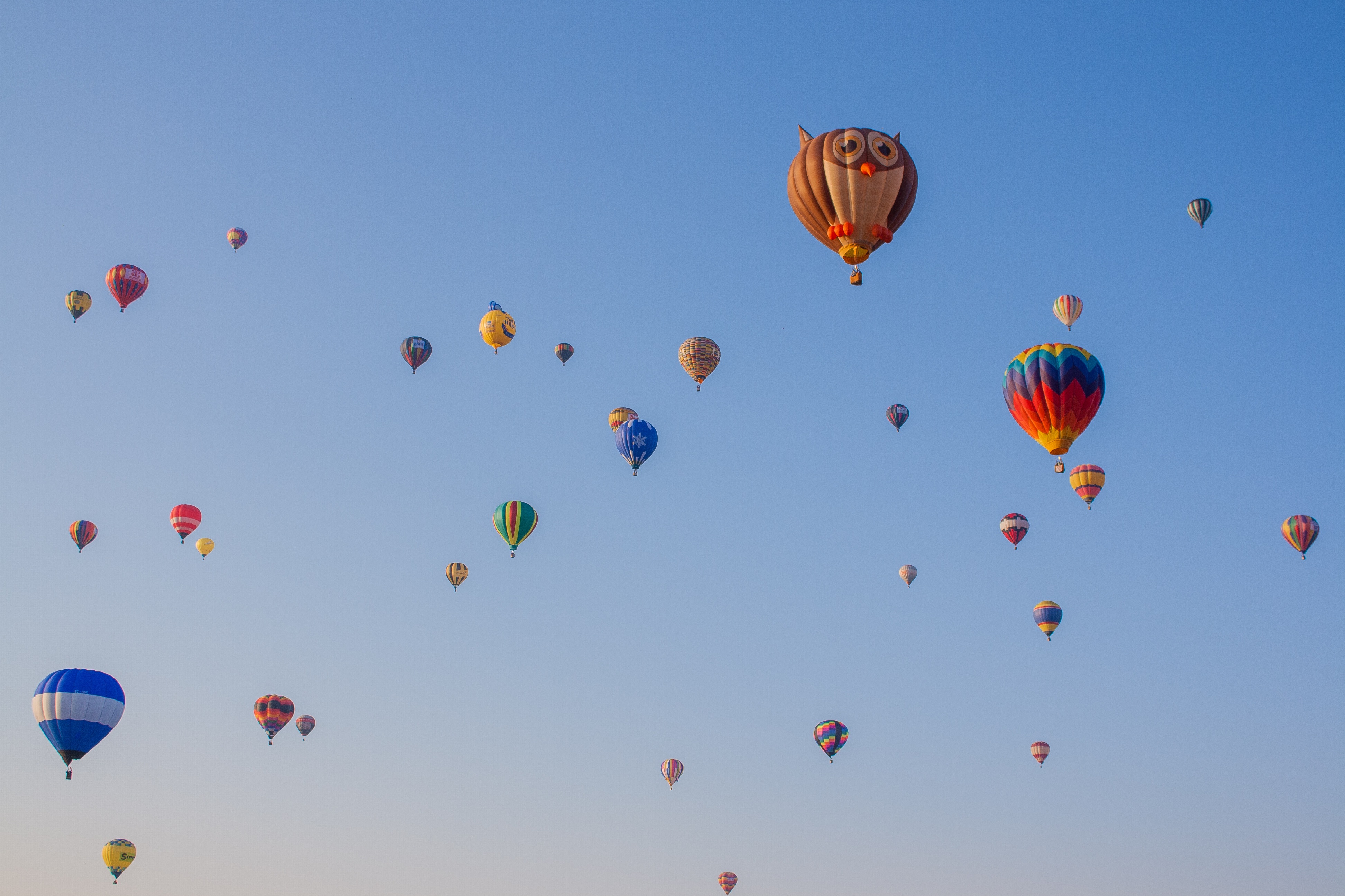 110999 Hintergrundbild herunterladen sky, luftballons, eule, verschiedenes, sonstige, flug, ballons - Bildschirmschoner und Bilder kostenlos